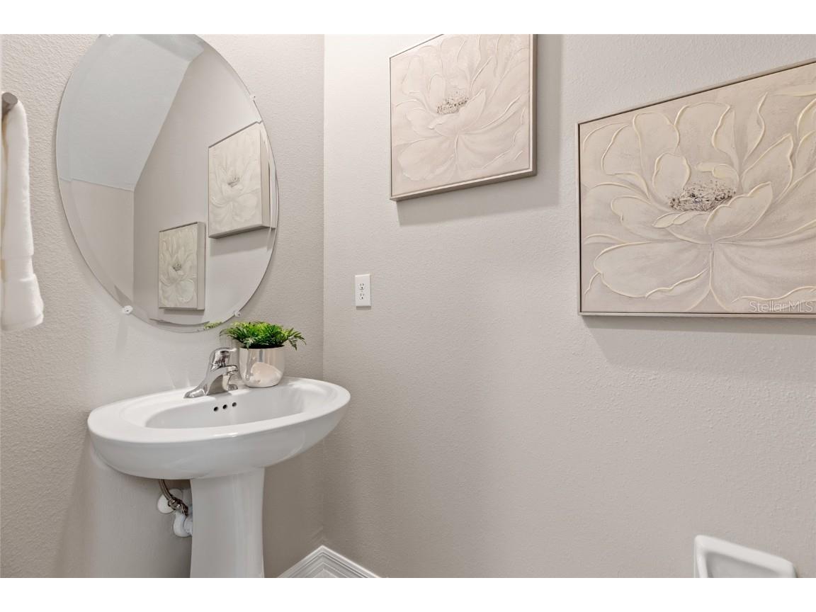 17901 Cloudless Bliss Drive Lutz FL 33558 TB8414379 image9