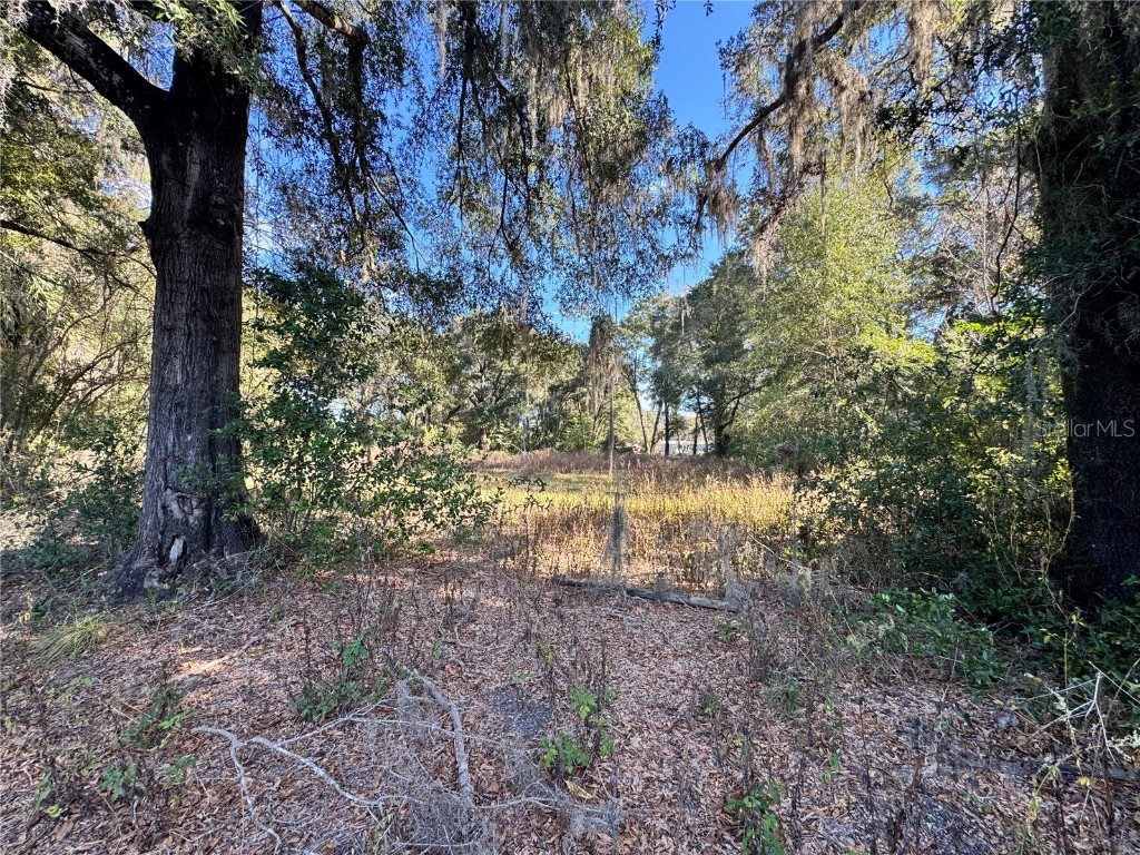 17901 NE 18th Avenue Citra FL 32113 OM714597 image1