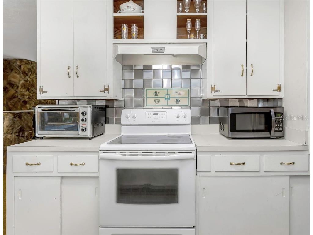 17902 Burnside Road Lutz FL 33548 TB8455639 image18