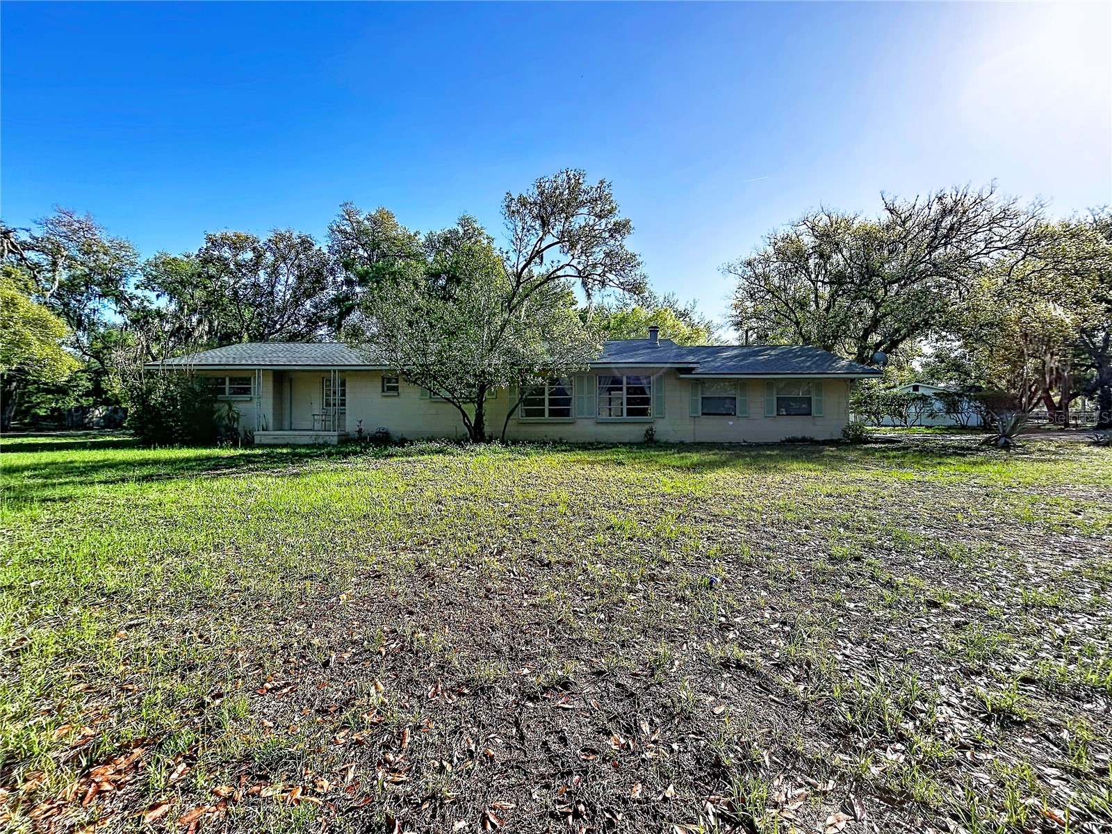 17902 Burnside Road Lutz FL 33548 TB8486779 image1