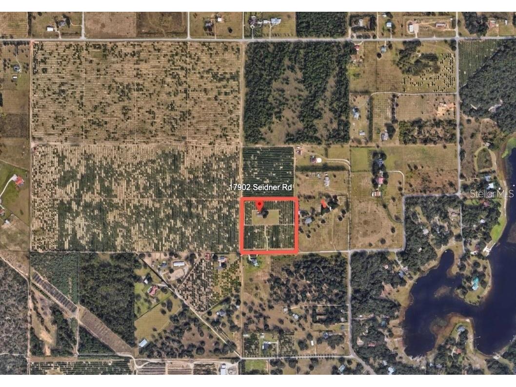 17902 Seidner Road Winter Garden FL 34787 O6316521 image2