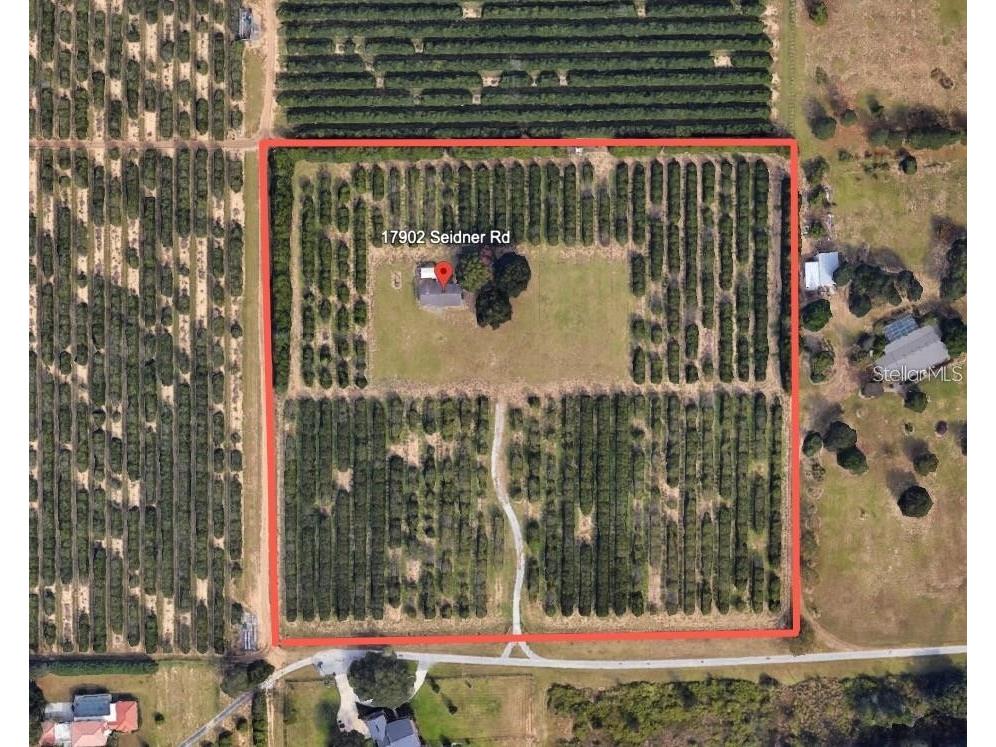 17902 Seidner Road Winter Garden FL 34787 O6316521 image3