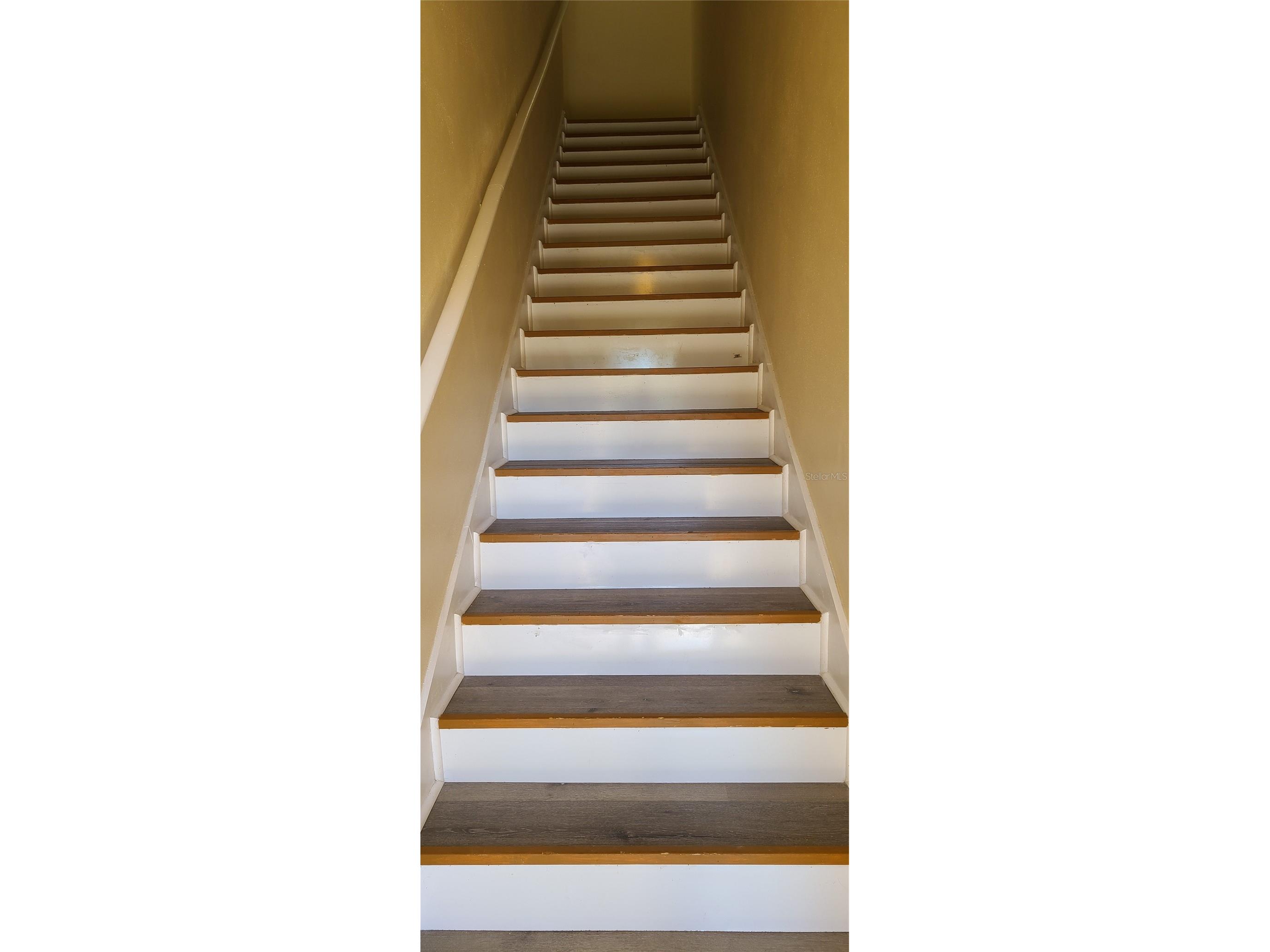 17902 Villa Creek Drive #17902 Tampa FL 33647 TB8487228 image5