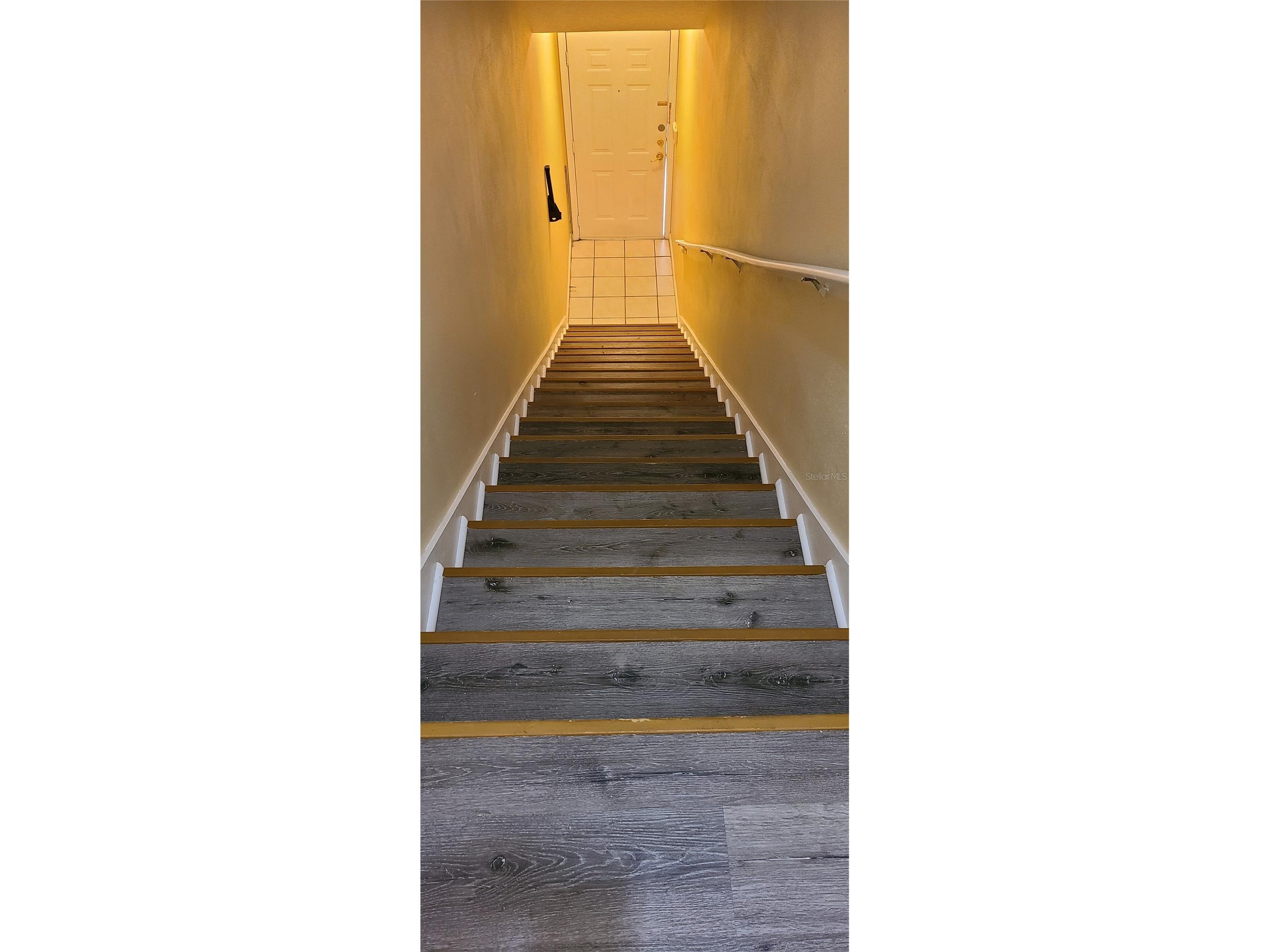 17902 Villa Creek Drive #17902 Tampa FL 33647 TB8487228 image6