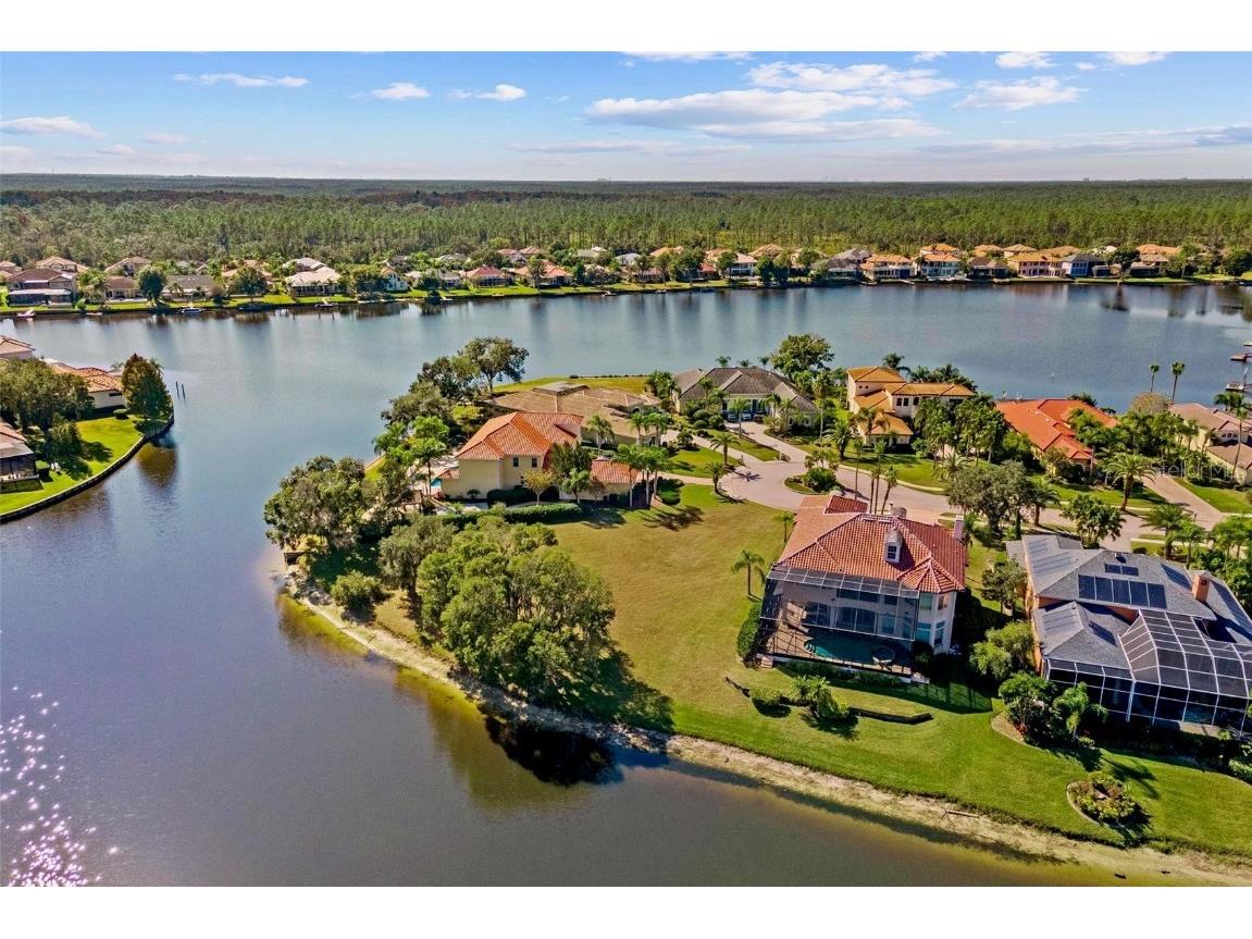 17903 Bimini Isle Court Tampa FL 33647 - CORY LAKE TB8449550 image14