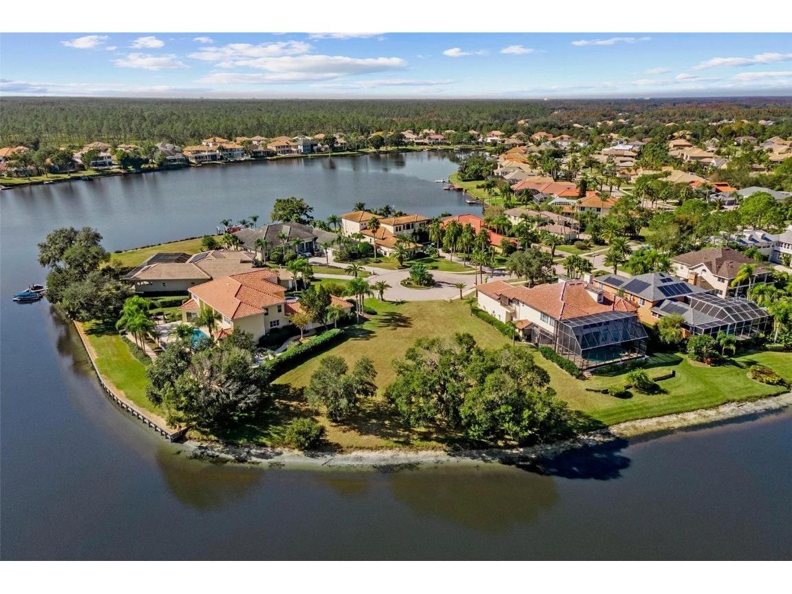 17903 Bimini Isle Court Tampa FL 33647 - CORY LAKE TB8449550 image16