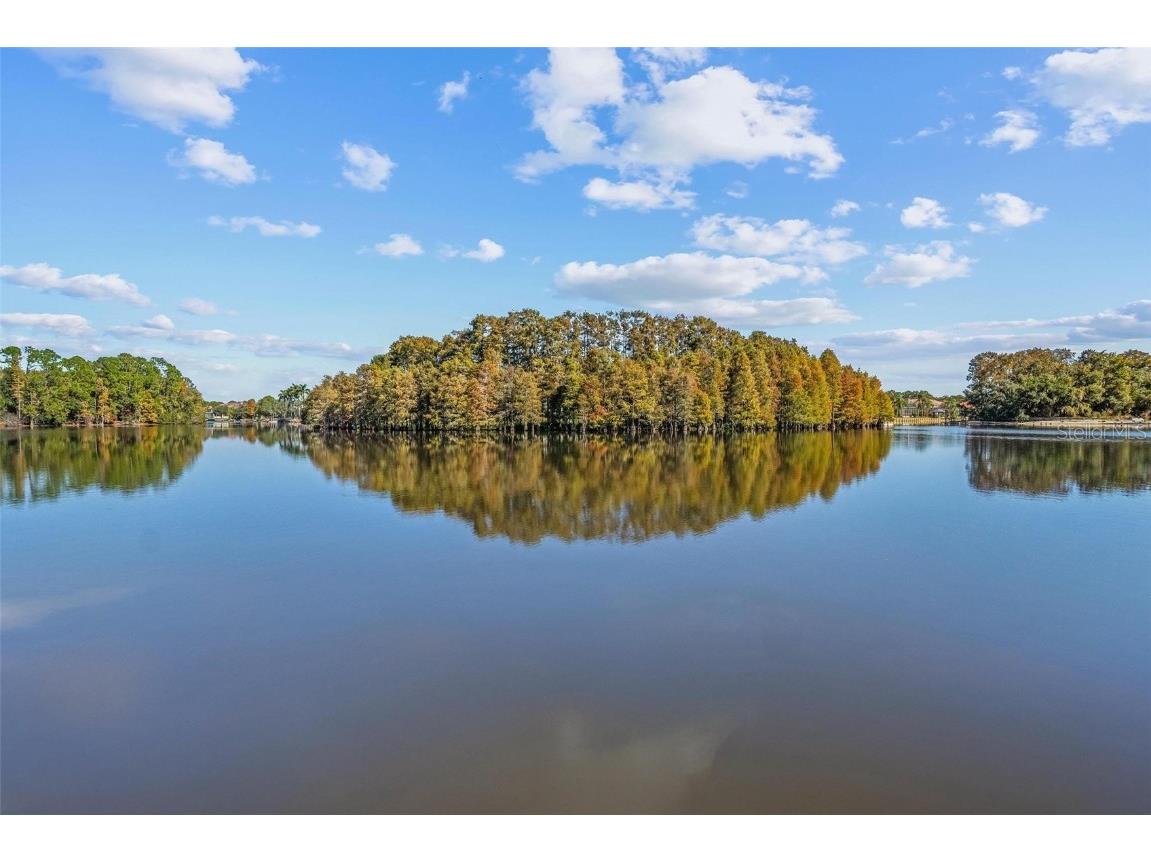 17903 Bimini Isle Court Tampa FL 33647 - CORY LAKE TB8449550 image24