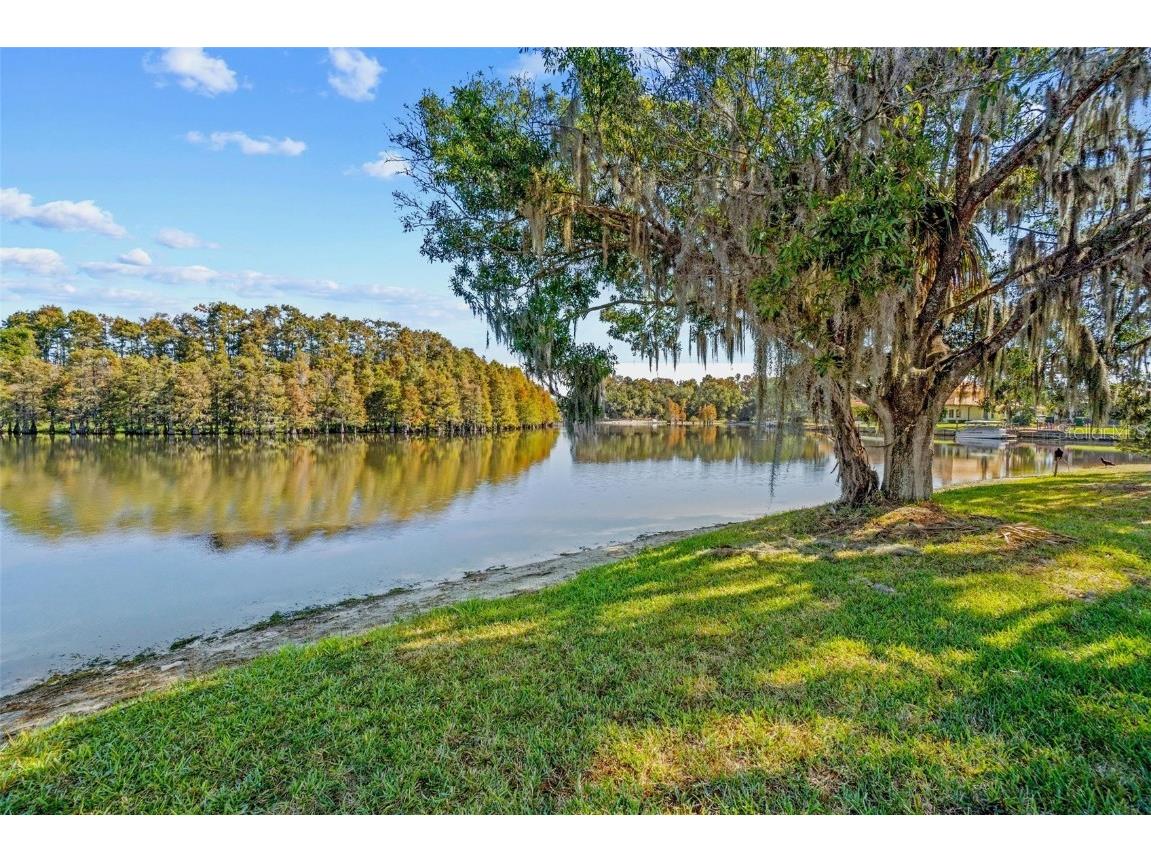 17903 Bimini Isle Court Tampa FL 33647 - CORY LAKE TB8449550 image5