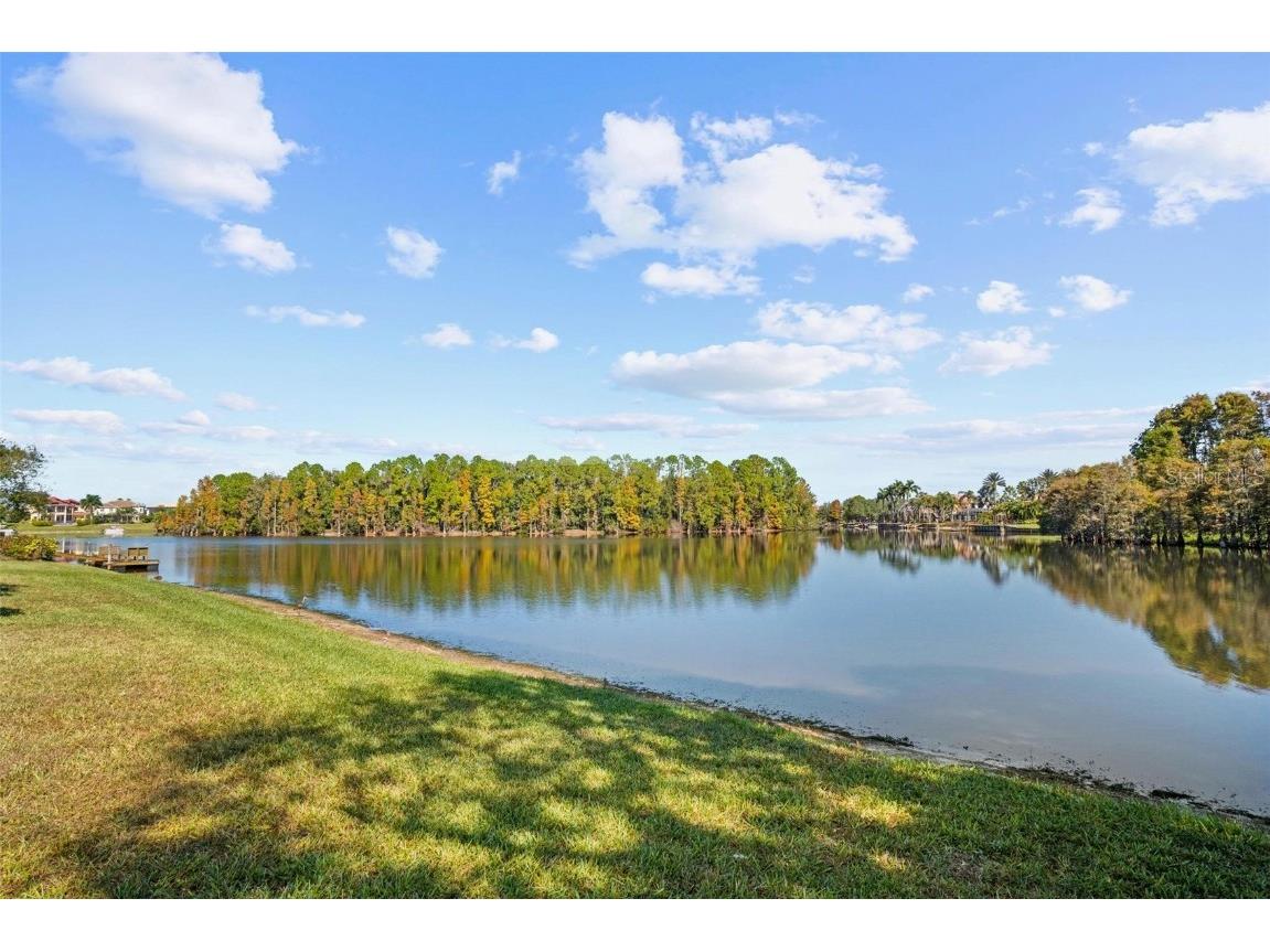 17903 Bimini Isle Court Tampa FL 33647 - CORY LAKE TB8449550 image6