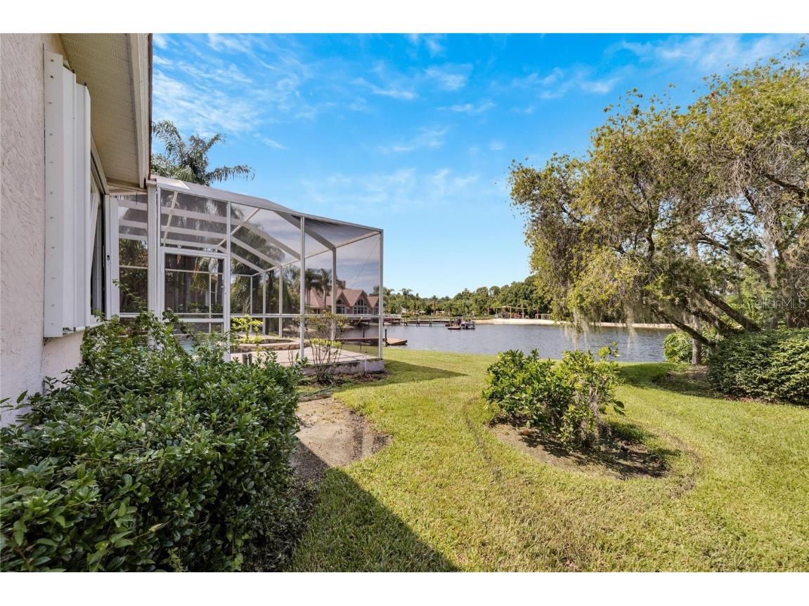 17904 Cachet Isle Drive Tampa FL 33647 TB8445196 image3