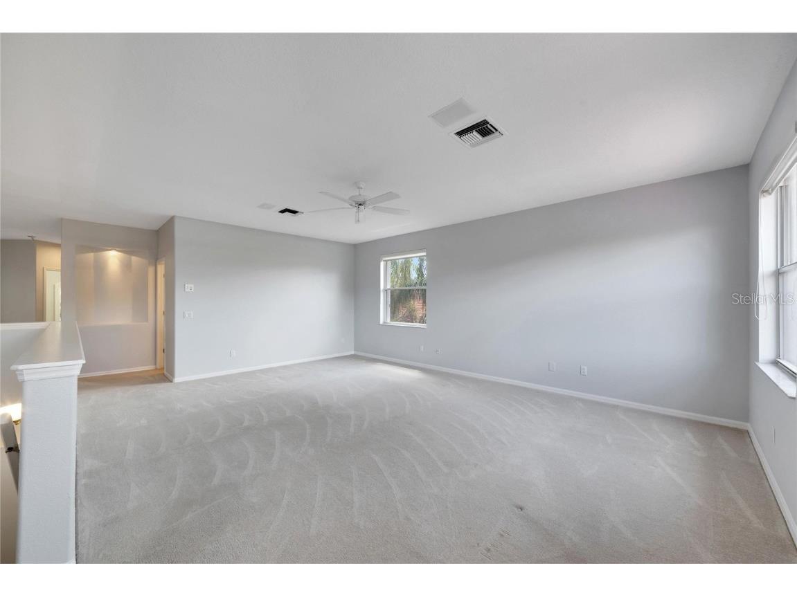 17904 Cachet Isle Drive Tampa FL 33647 TB8445196 image39