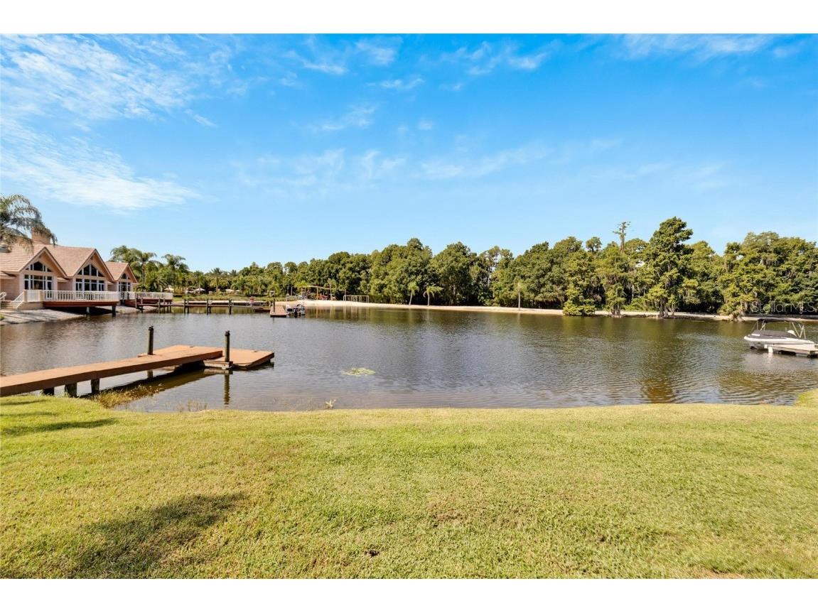 17904 Cachet Isle Drive Tampa FL 33647 TB8445196 image4