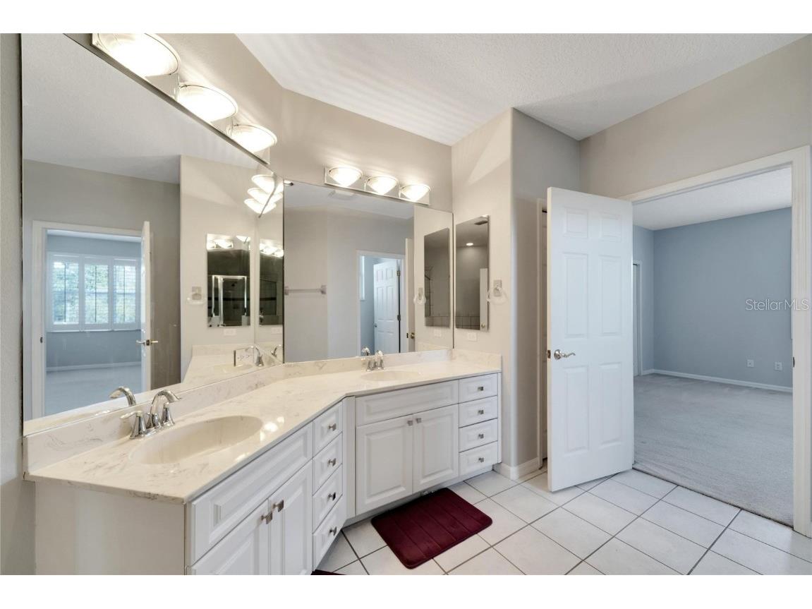 17904 Cachet Isle Drive Tampa FL 33647 TB8445196 image50