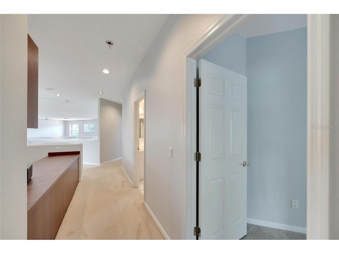 17904 Cachet Isle Drive Tampa FL 33647 TB8445196 image57