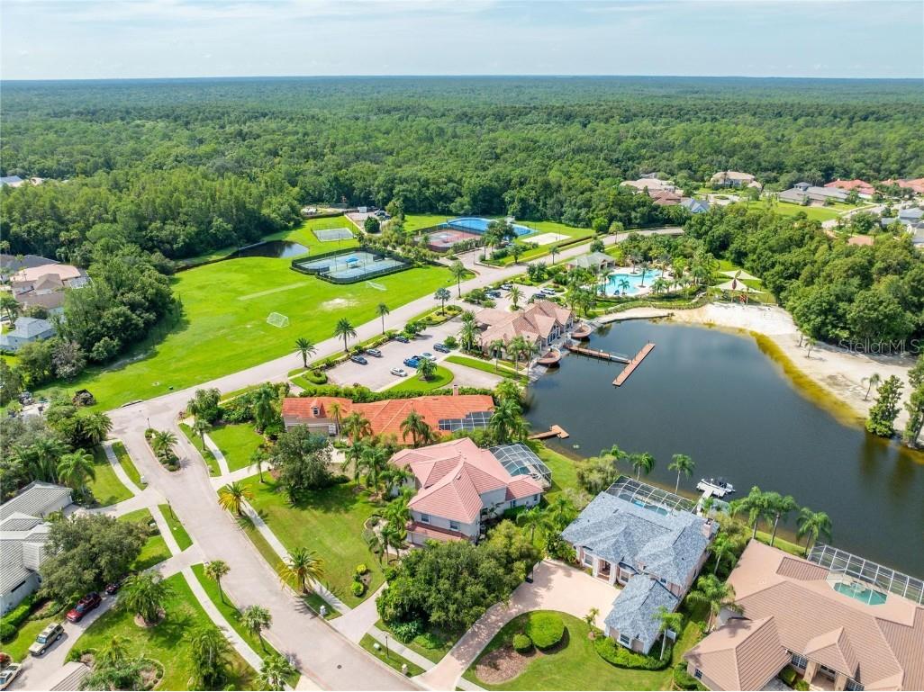 17904 Cachet Isle Drive Tampa FL 33647 TB8445196 image66