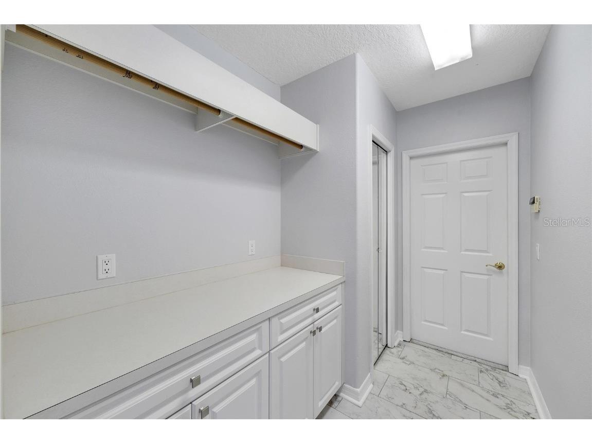 17904 Cachet Isle Drive Tampa FL 33647 TB8445262 image37