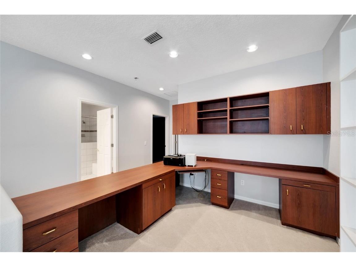 17904 Cachet Isle Drive Tampa FL 33647 TB8445262 image48