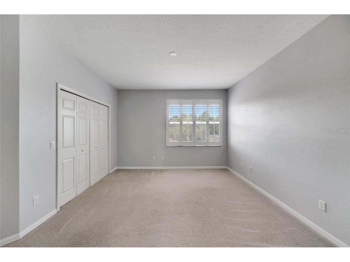 17904 Cachet Isle Drive Tampa FL 33647 TB8445262 image51