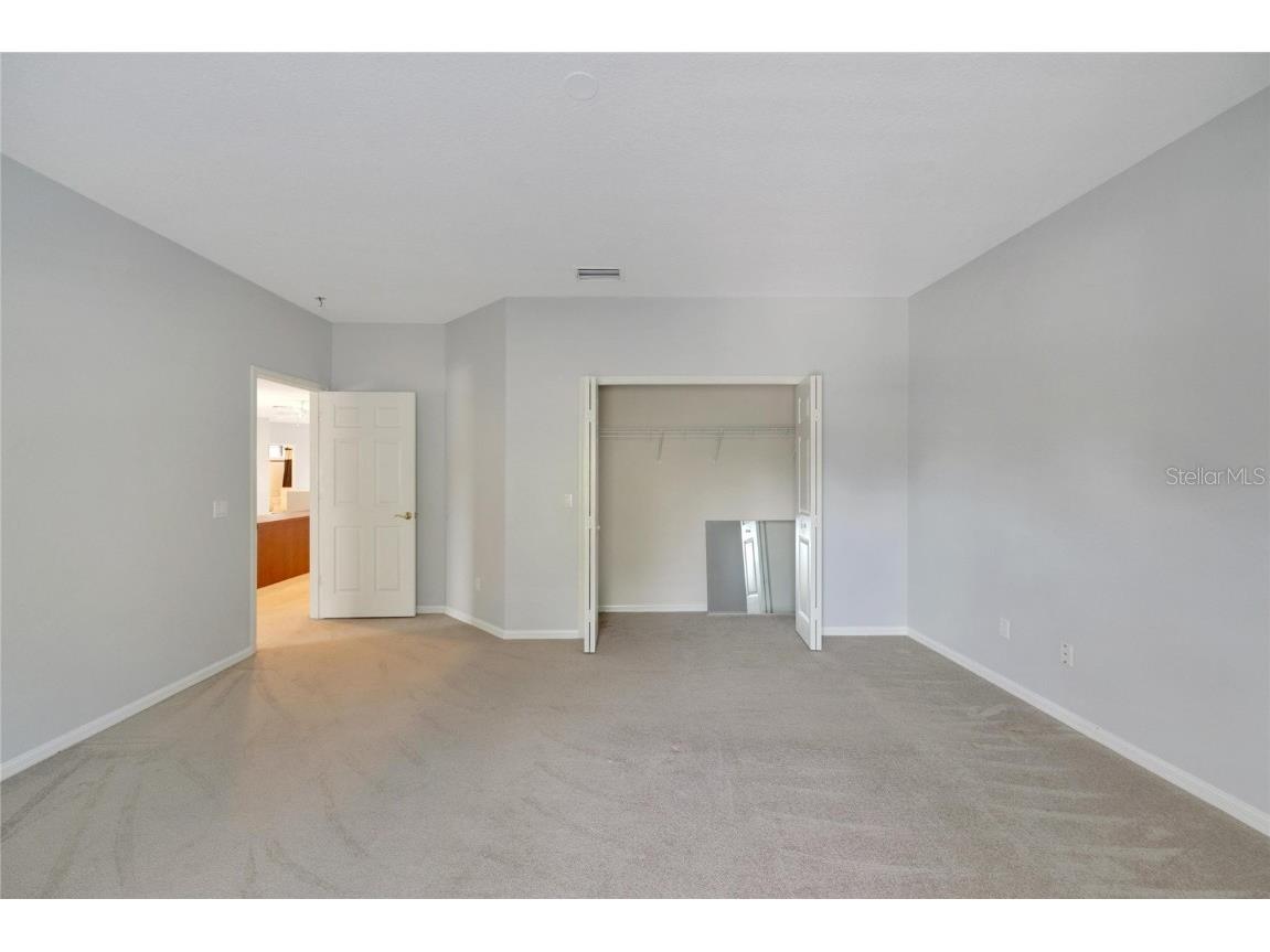 17904 Cachet Isle Drive Tampa FL 33647 TB8445262 image54