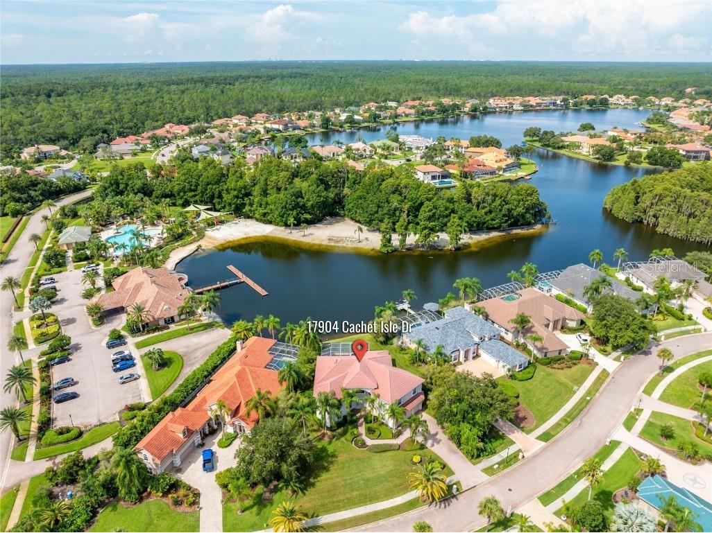 17904 Cachet Isle Drive Tampa FL 33647 TB8445262 image64