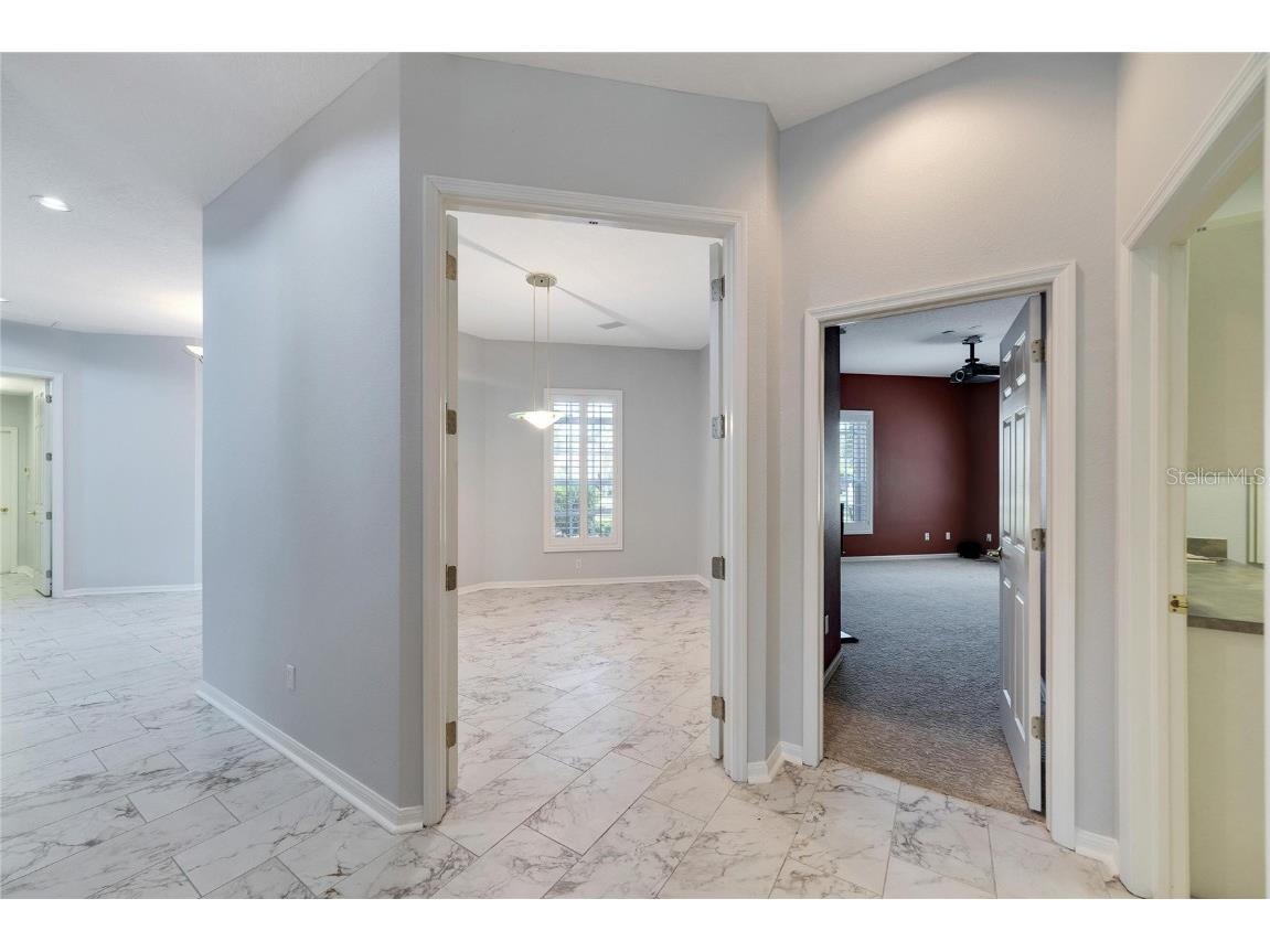 17904 Cachet Isle Drive Tampa FL 33647 TB8445262 image8