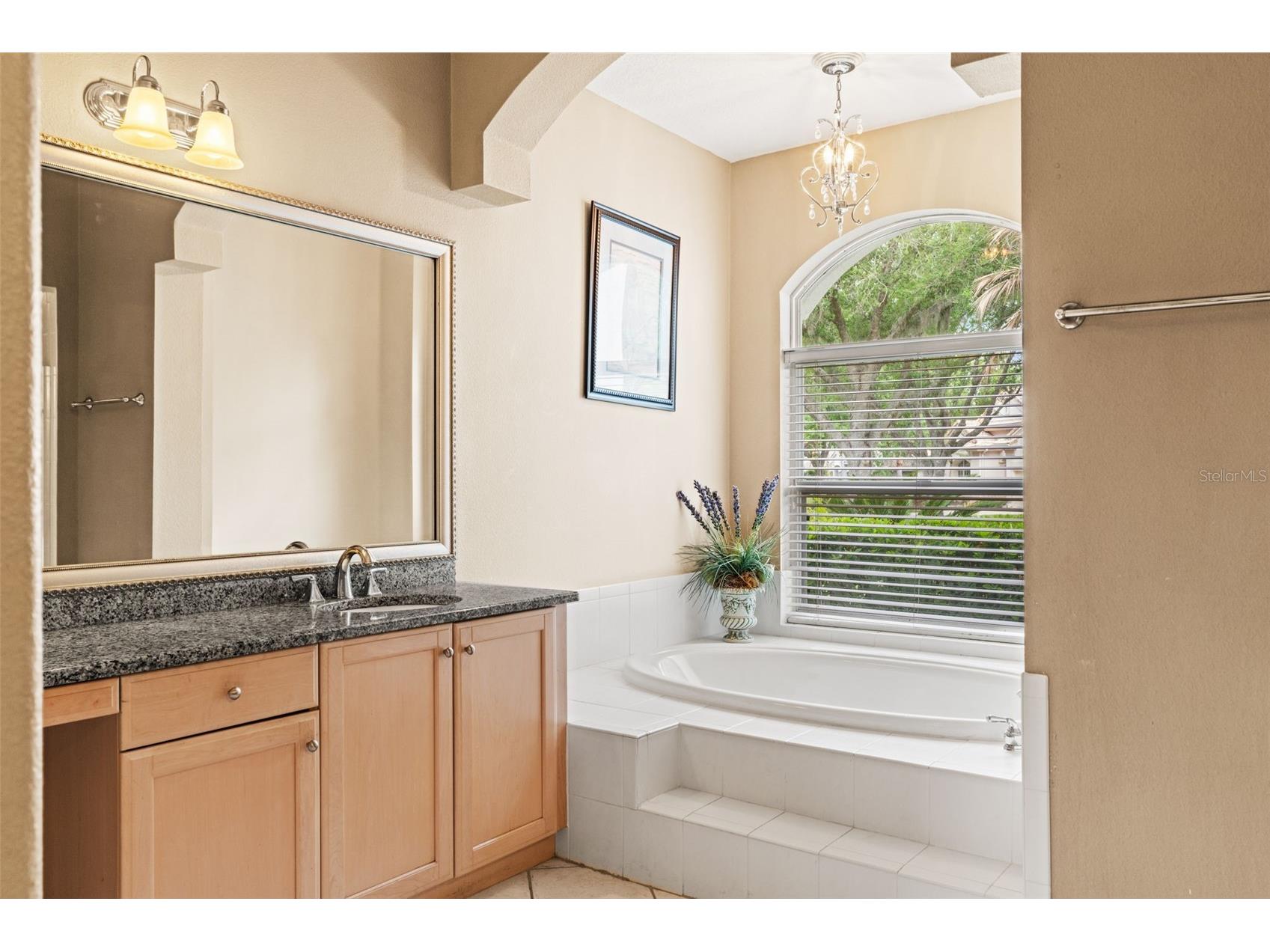 17905 Arbor Greene Drive Tampa FL 33647 TB8490112 image26