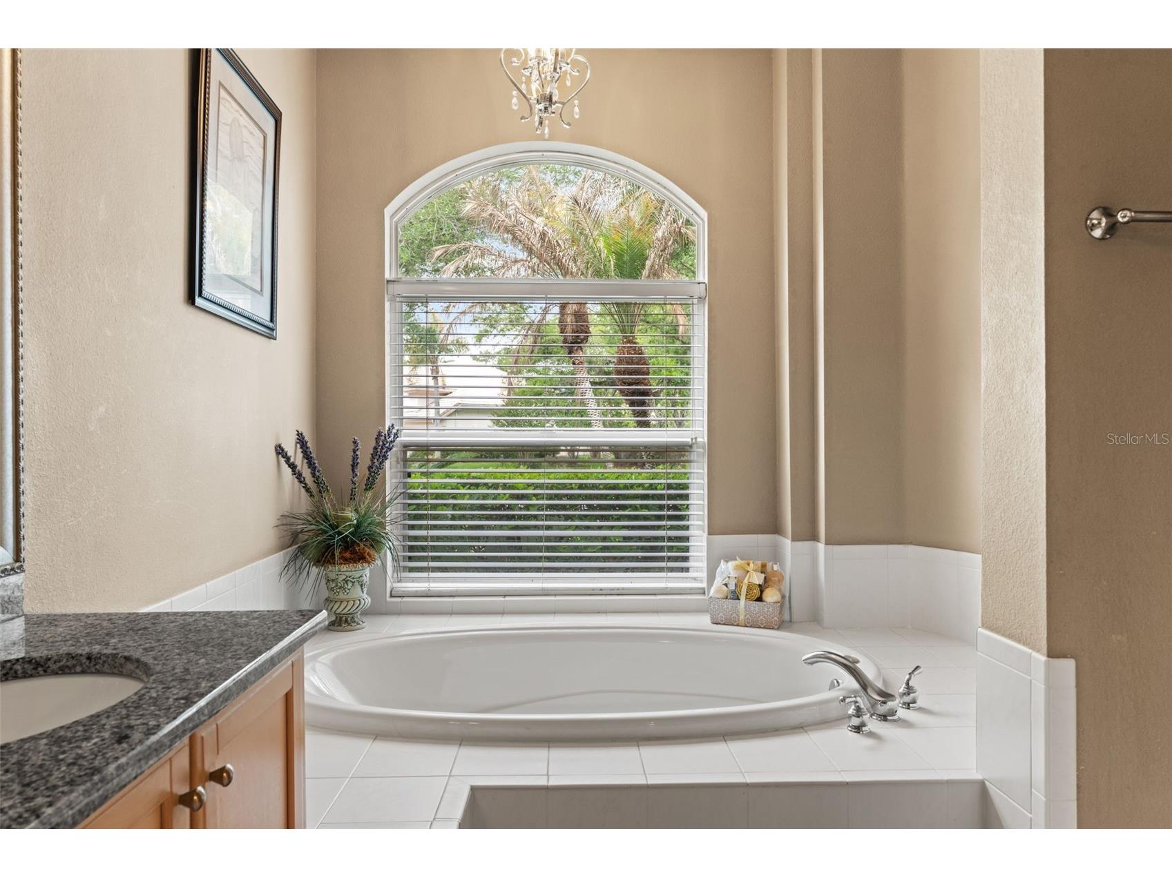 17905 Arbor Greene Drive Tampa FL 33647 TB8490112 image27