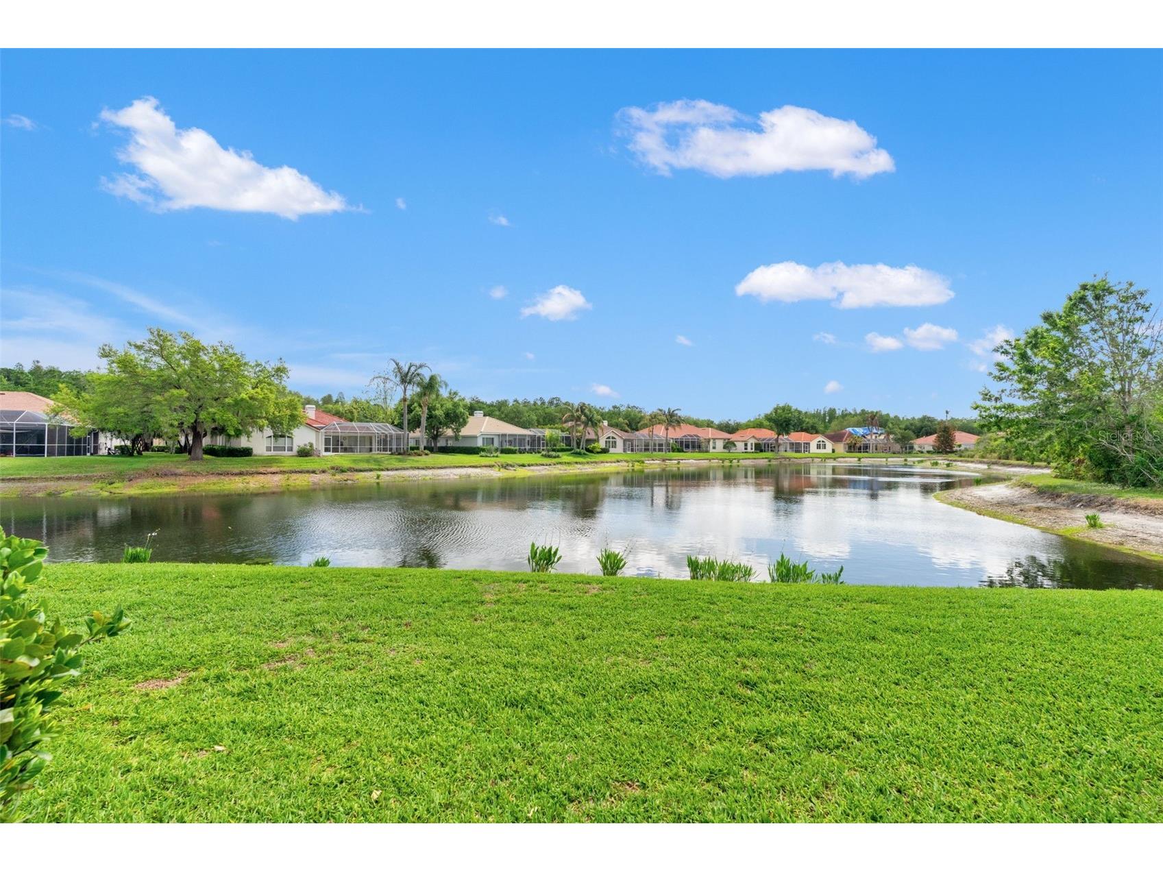17905 Arbor Greene Drive Tampa FL 33647 TB8490112 image5