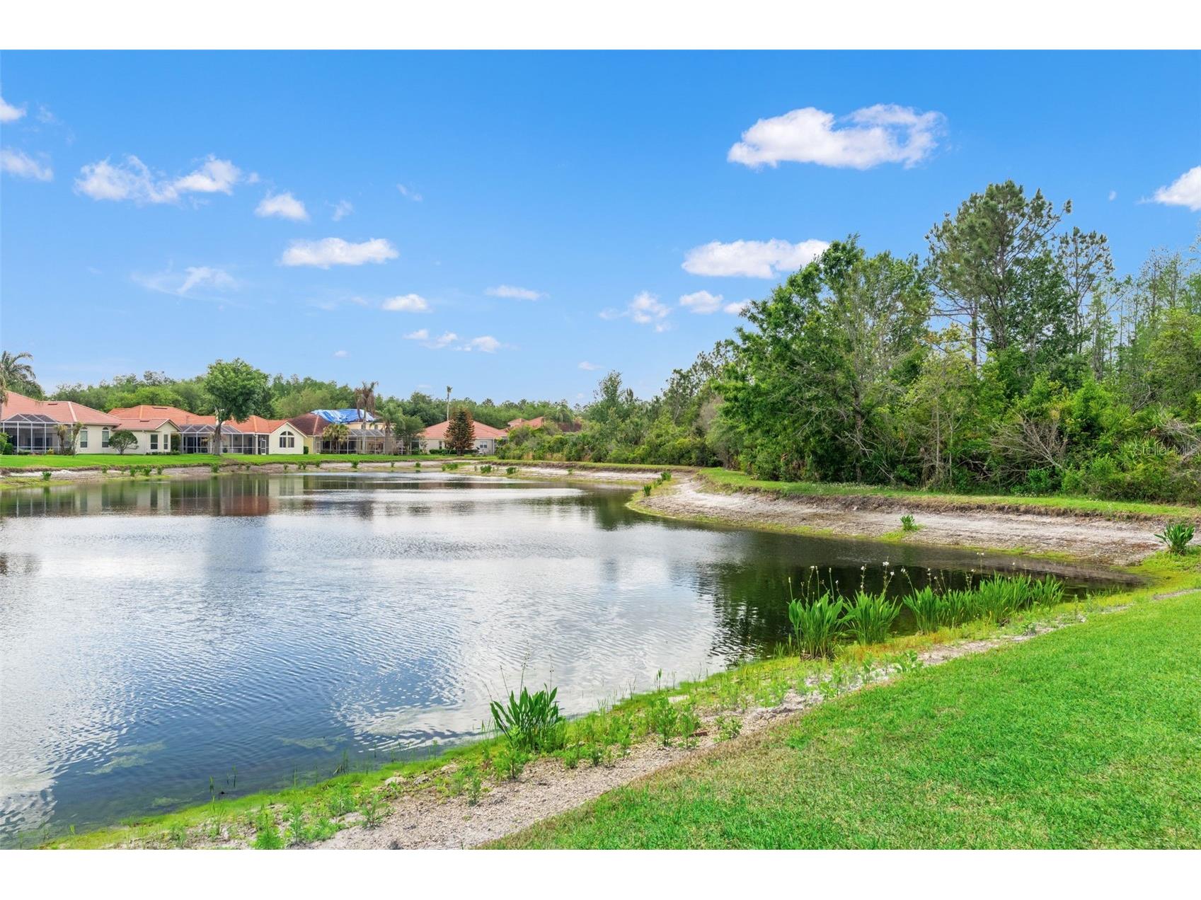 17905 Arbor Greene Drive Tampa FL 33647 TB8490112 image66