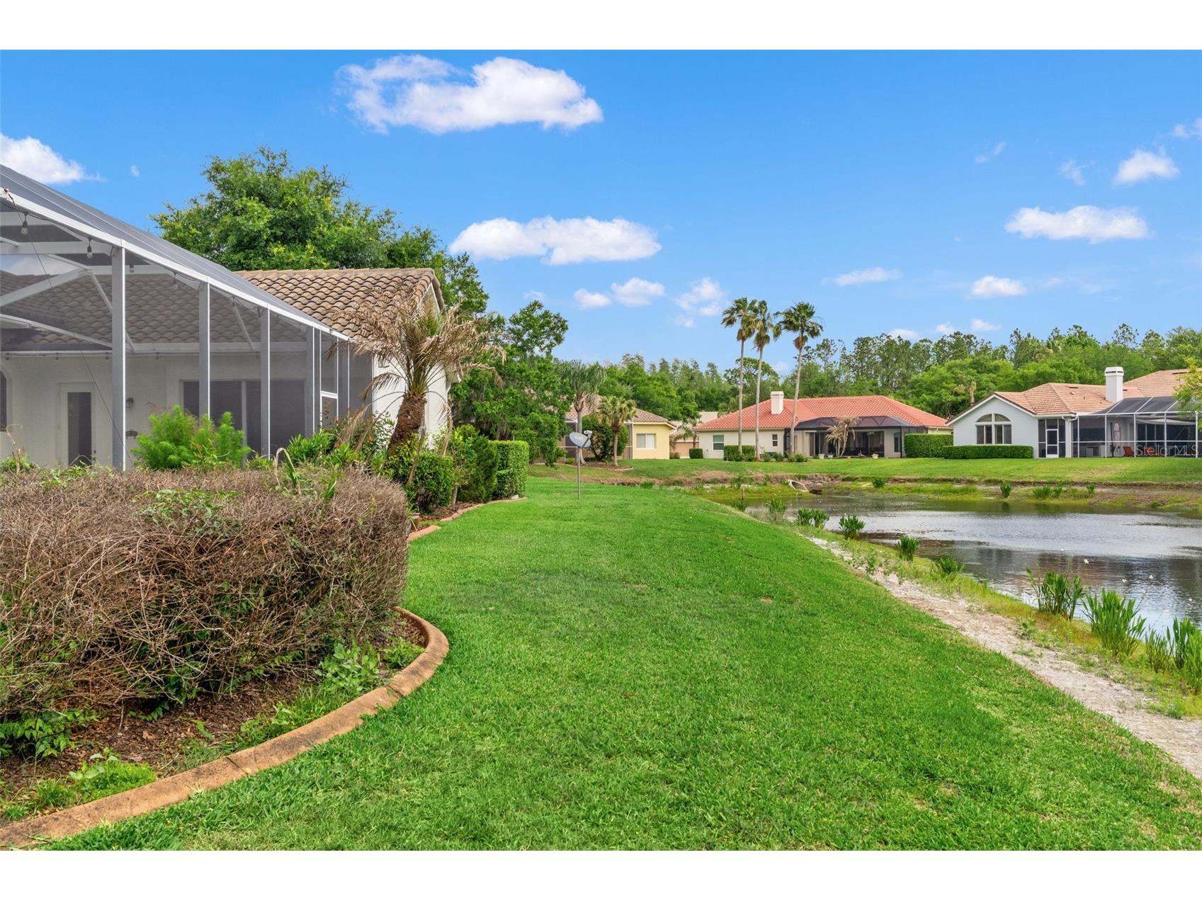 17905 Arbor Greene Drive Tampa FL 33647 TB8490112 image67
