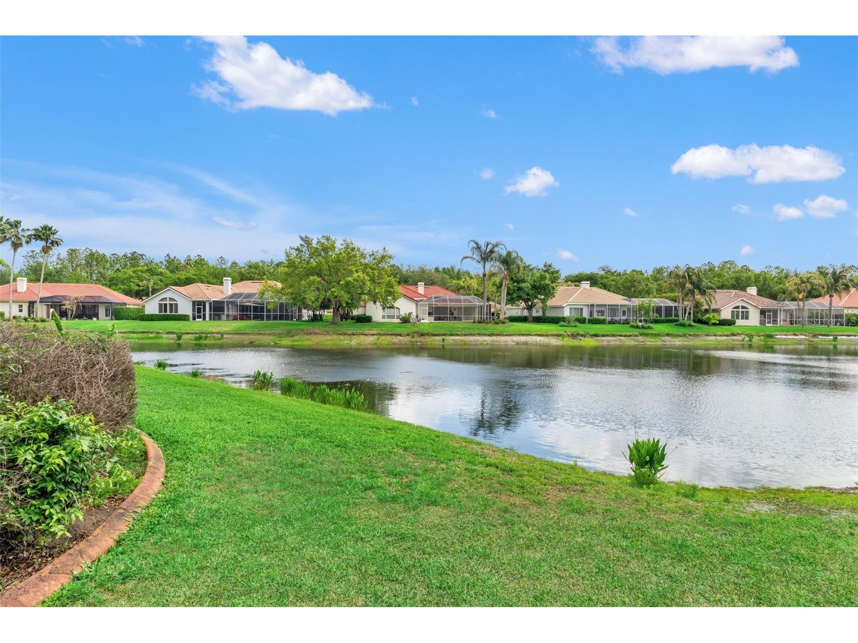 17905 Arbor Greene Drive Tampa FL 33647 TB8490112 image68