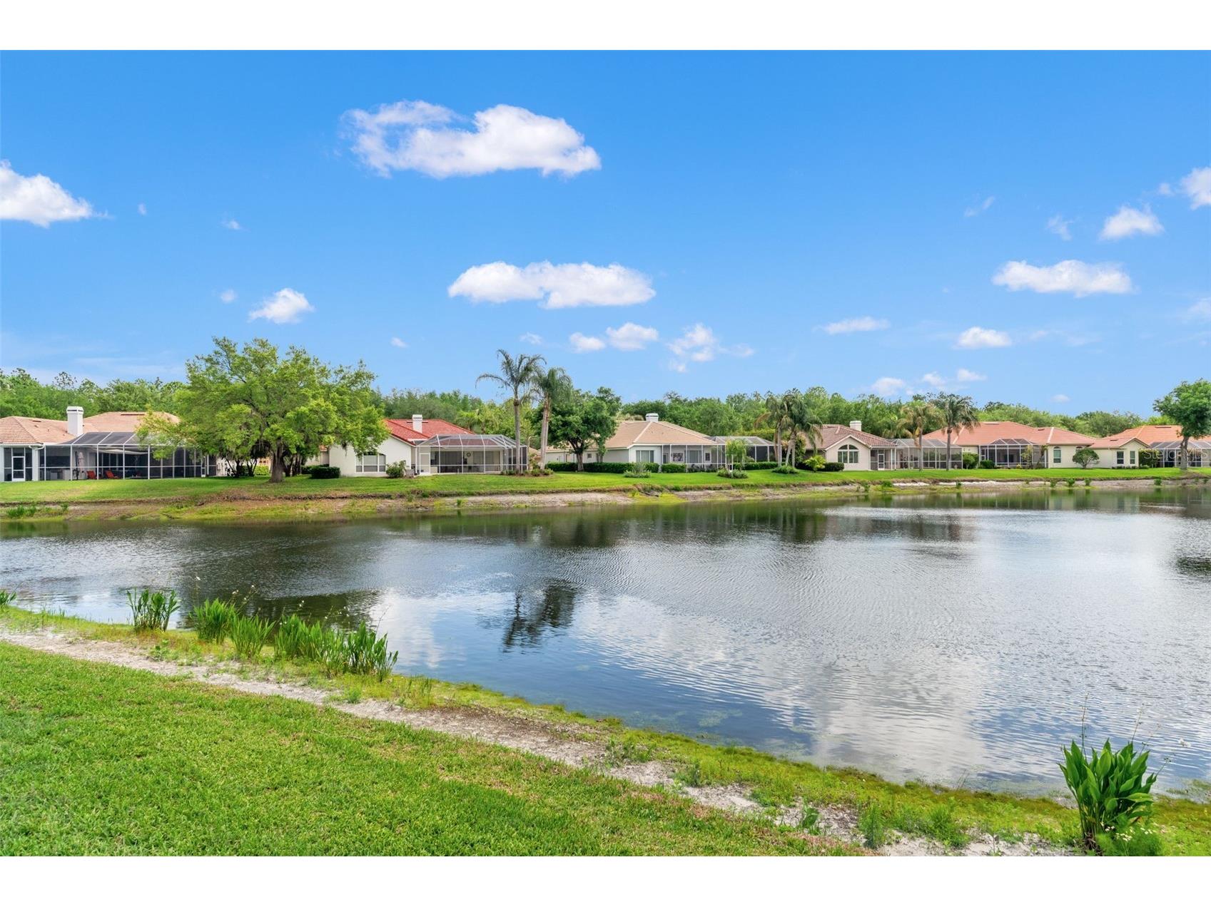 17905 Arbor Greene Drive Tampa FL 33647 TB8490112 image69
