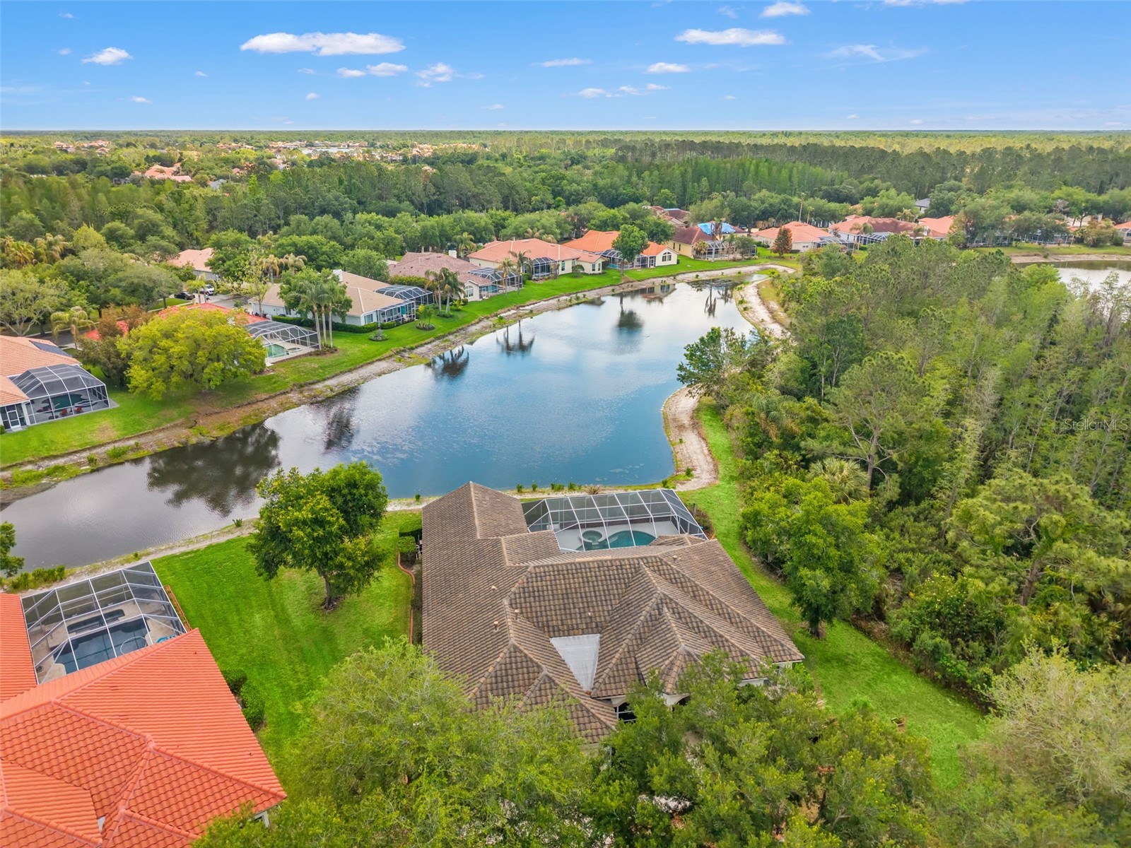 17905 Arbor Greene Drive Tampa FL 33647 TB8490112 image71