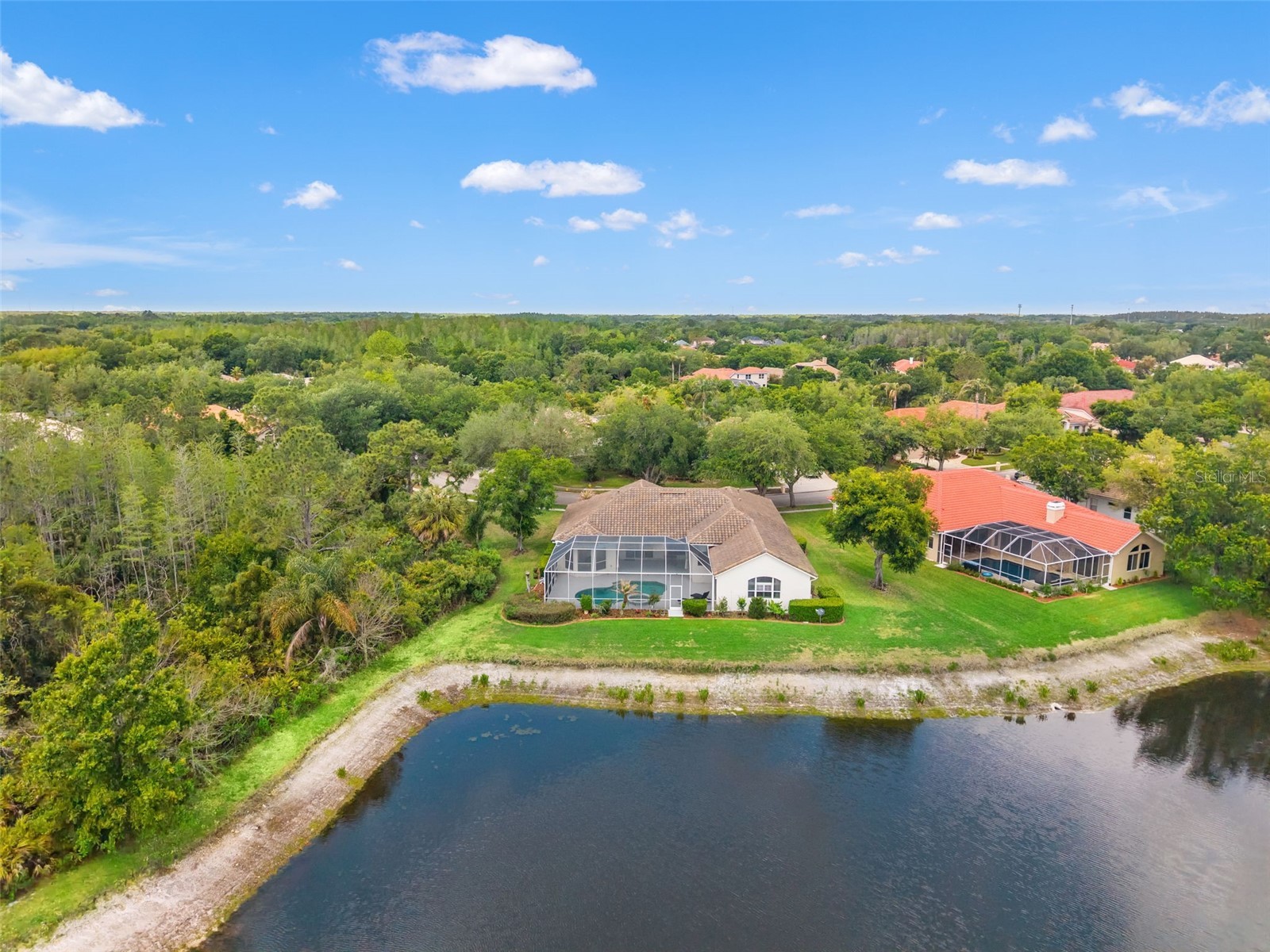 17905 Arbor Greene Drive Tampa FL 33647 TB8490112 image72