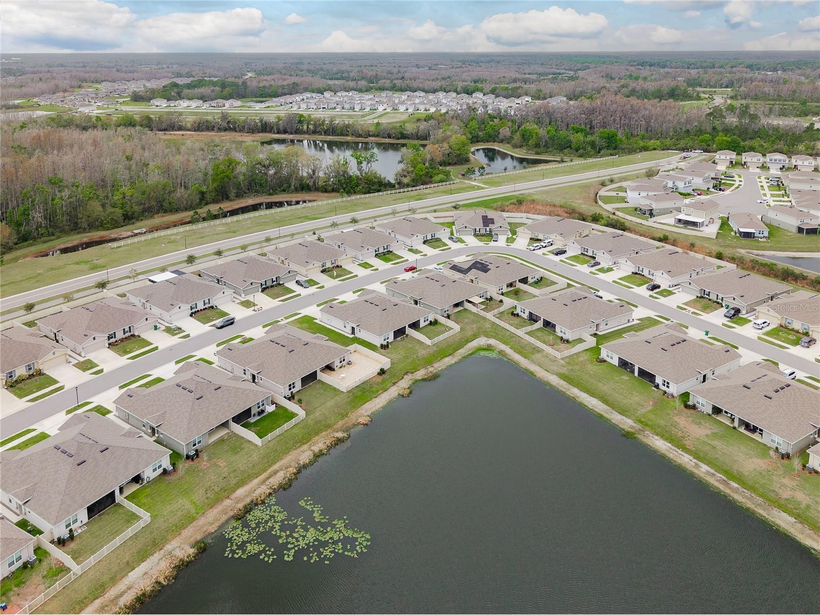 17906 Turning Leaf Circle Land O Lakes FL 34638 TB8483811 image38