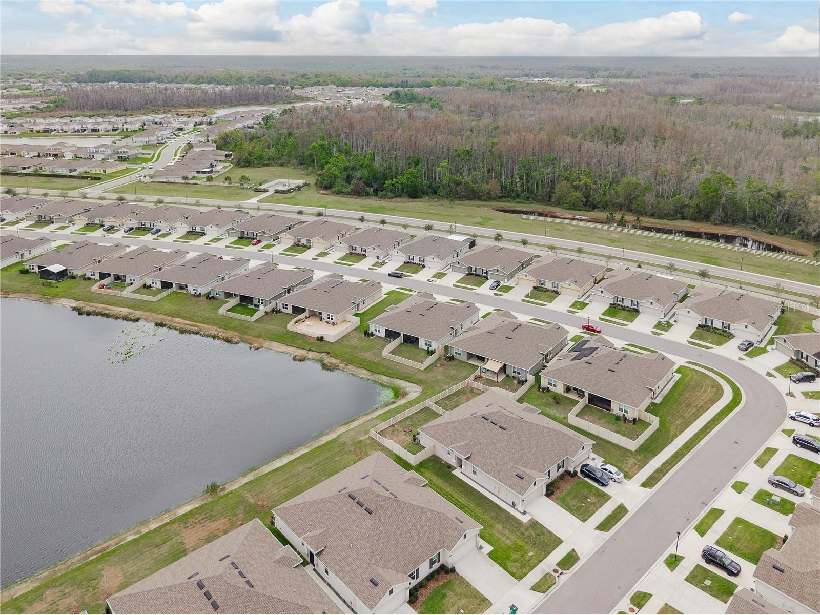 17906 Turning Leaf Circle Land O Lakes FL 34638 TB8483811 image39