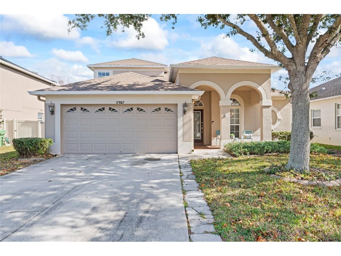 17907 Ayrshire Boulevard Land O Lakes FL 34638 T3496311 image1