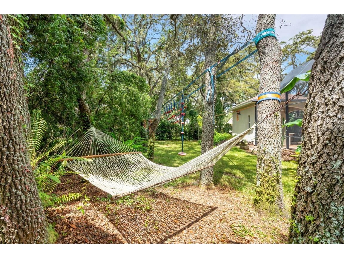 17907 Burnt Oak Lane Lithia FL 33547 TB8413576 image22