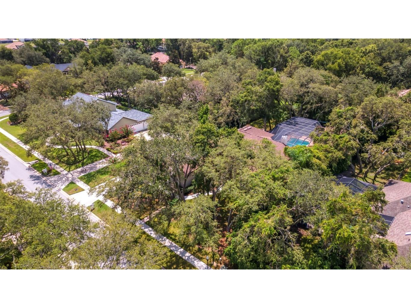 17907 Burnt Oak Lane Lithia FL 33547 TB8413576 image49