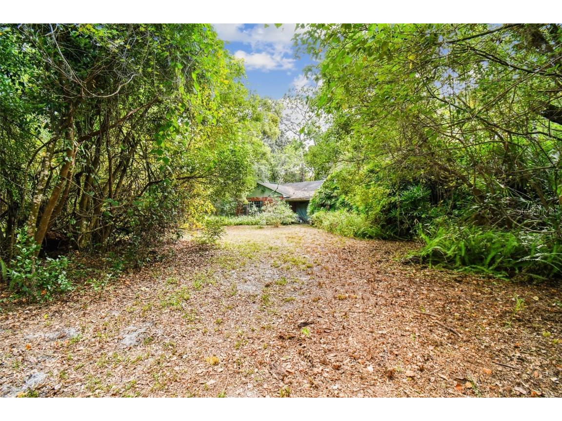 17908 Pepper Tree Lane Lutz FL 33548 U8218387 image1