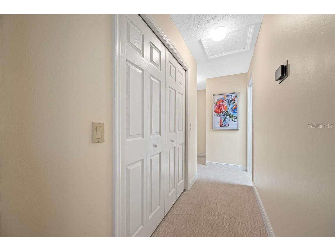 17909 Clear Lake Drive Lutz FL 33548 - Clear Lake TB8431155 image39