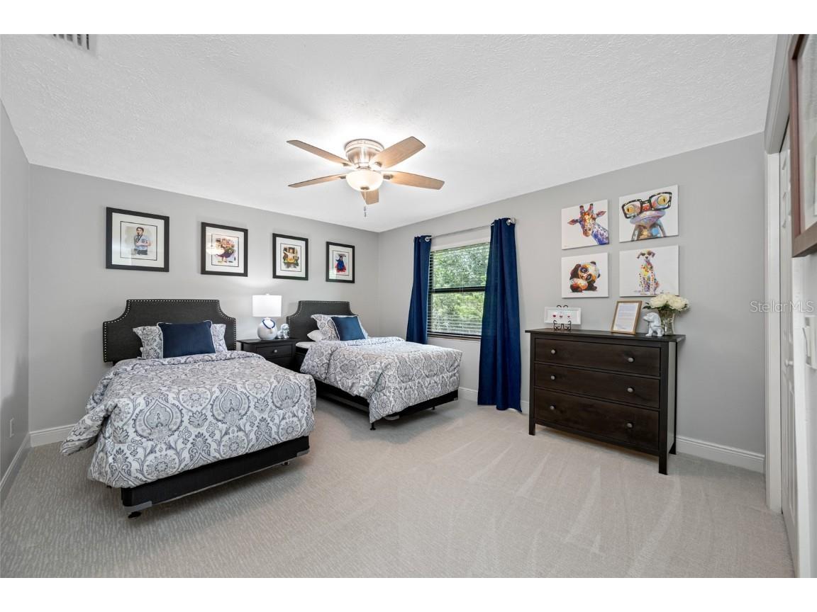 17909 Clear Lake Drive Lutz FL 33548 - Clear Lake TB8431155 image42