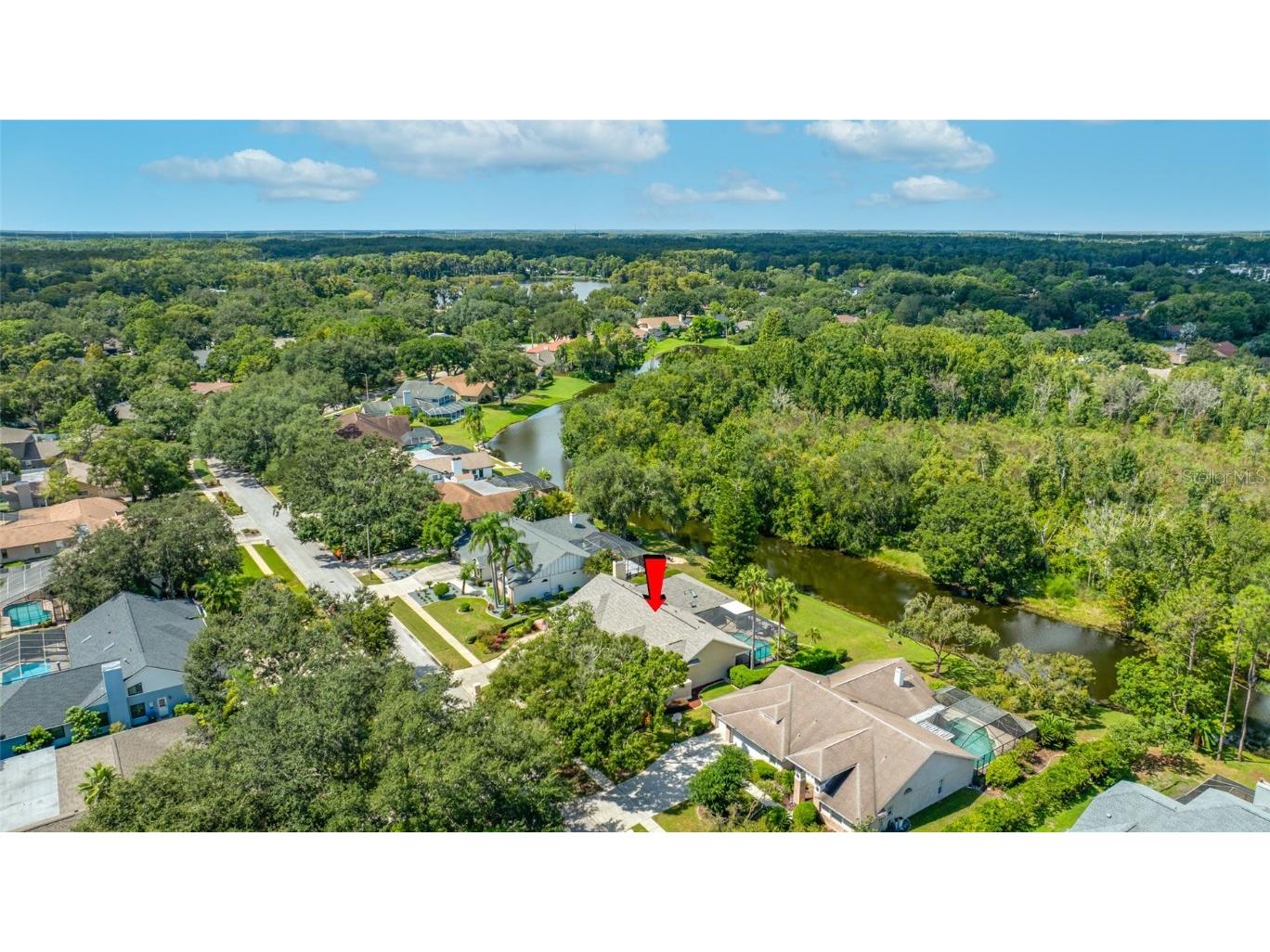 17909 Clear Lake Drive Lutz FL 33548 - Clear Lake TB8431155 image51