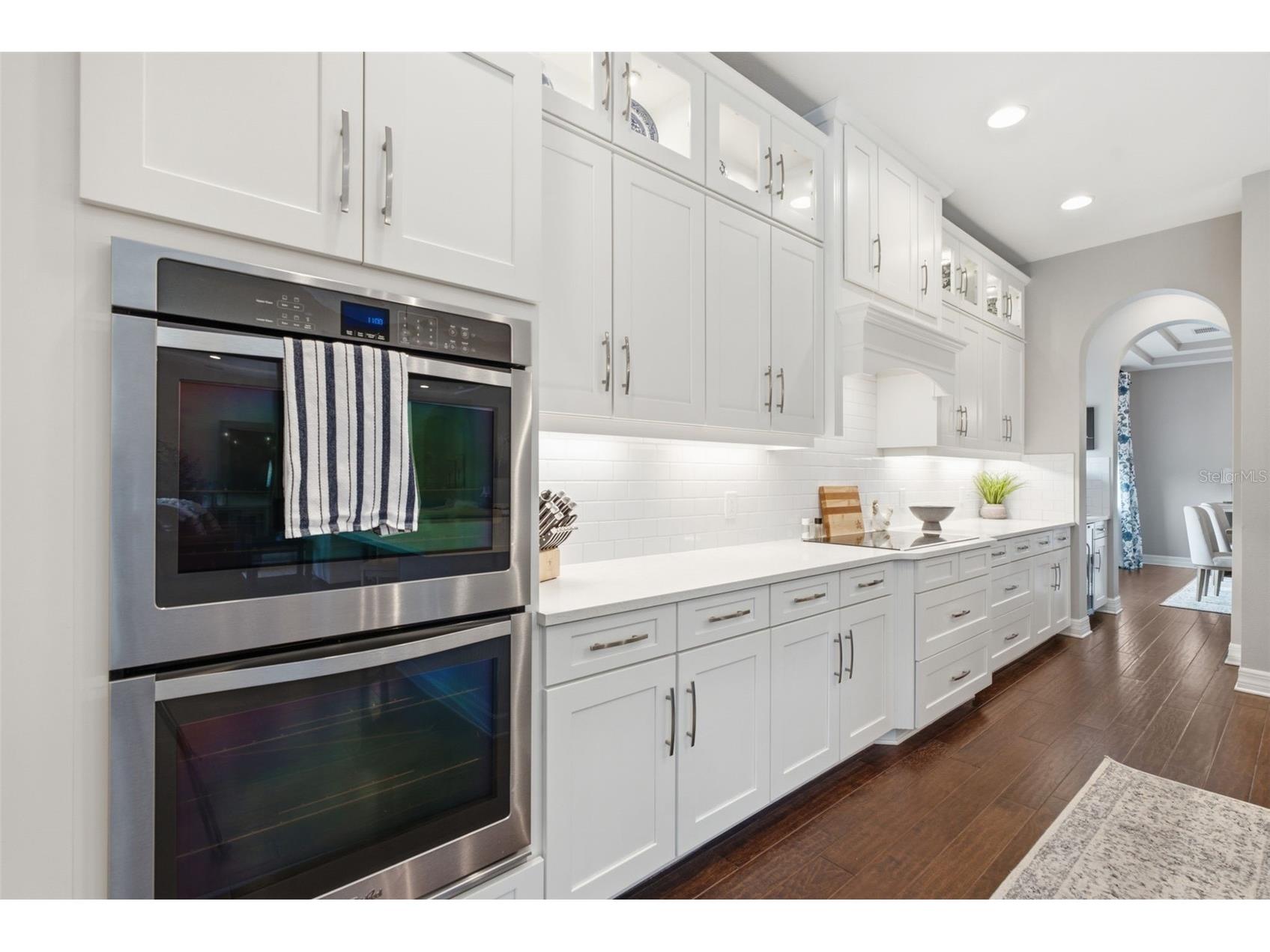 17909 Howsmoor Place Lutz FL 33559 TB8521809 image11