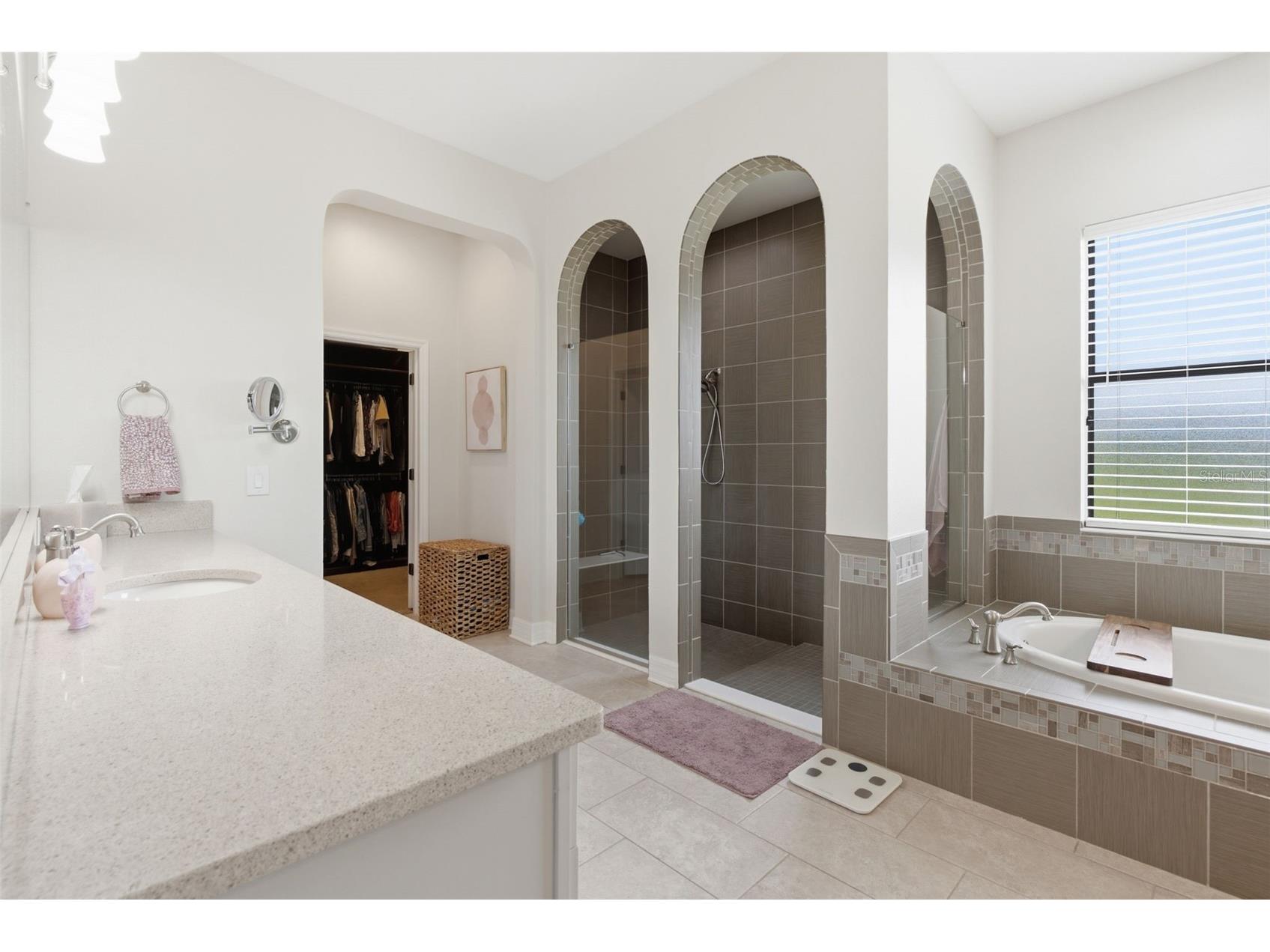 17909 Howsmoor Place Lutz FL 33559 TB8521809 image34