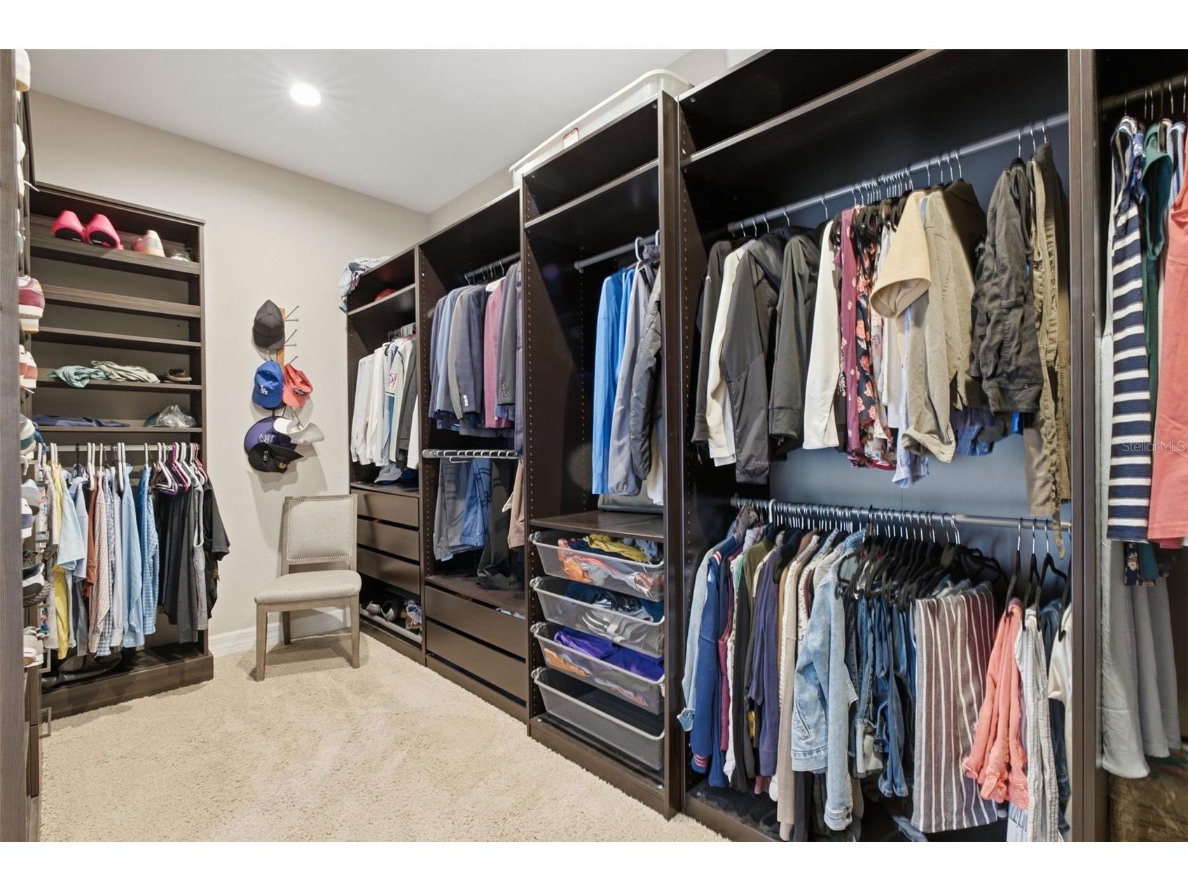 17909 Howsmoor Place Lutz FL 33559 TB8521809 image36