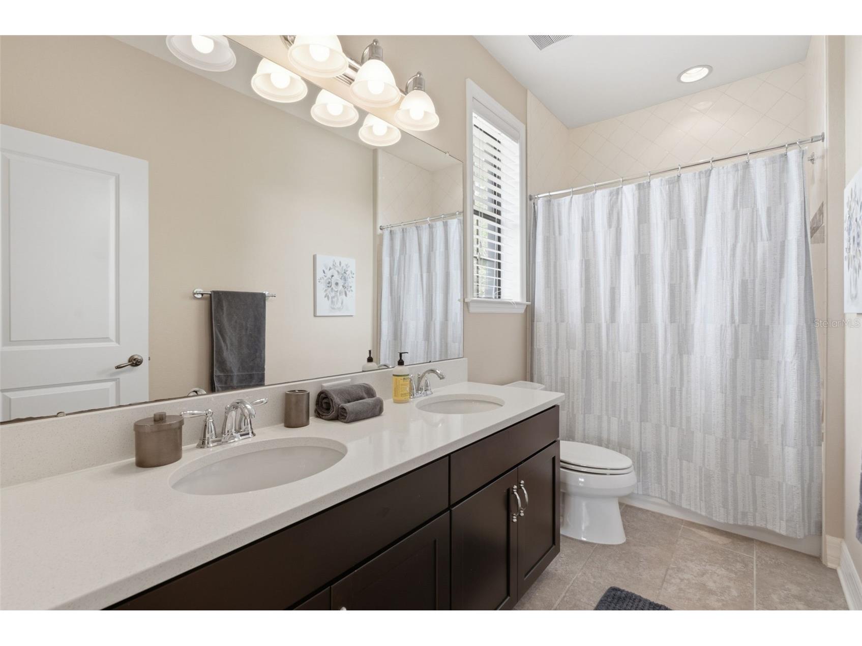 17909 Howsmoor Place Lutz FL 33559 TB8521809 image52