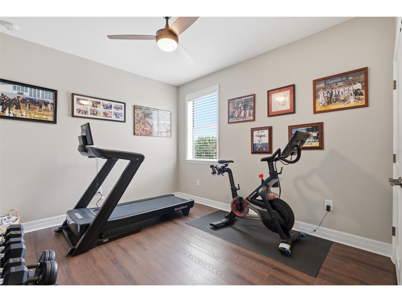 17909 Howsmoor Place Lutz FL 33559 TB8521809 image53