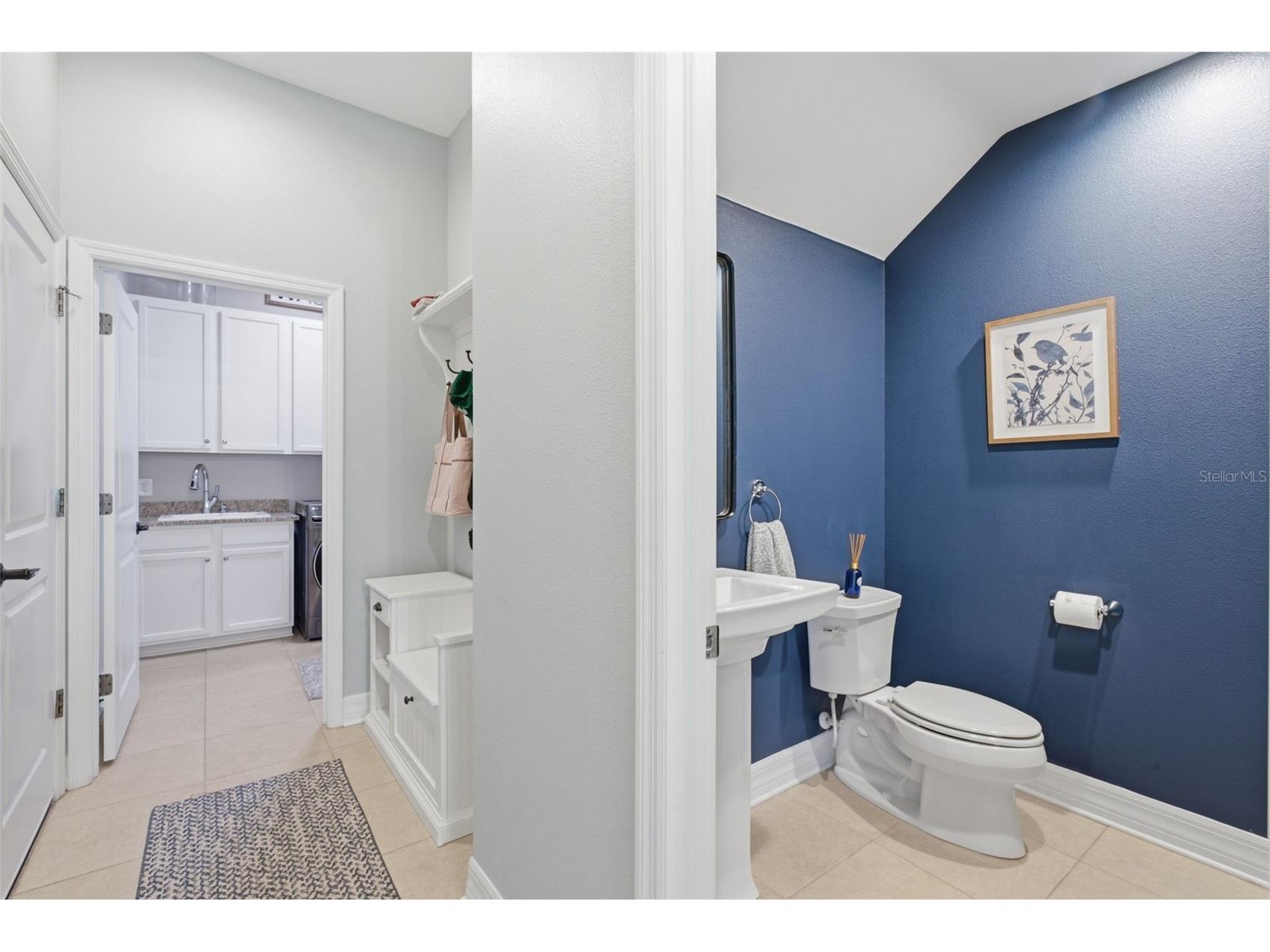 17909 Howsmoor Place Lutz FL 33559 TB8521809 image56