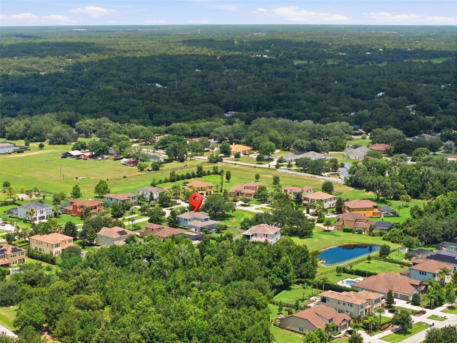17909 Howsmoor Place Lutz FL 33559 TB8521809 image67